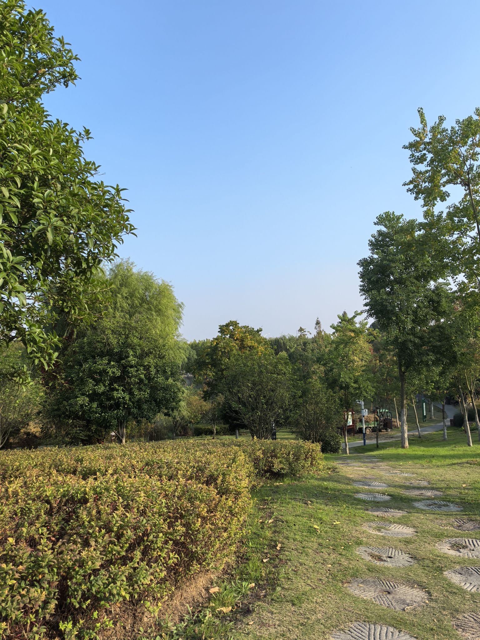 桃花源公园旅行图片 1