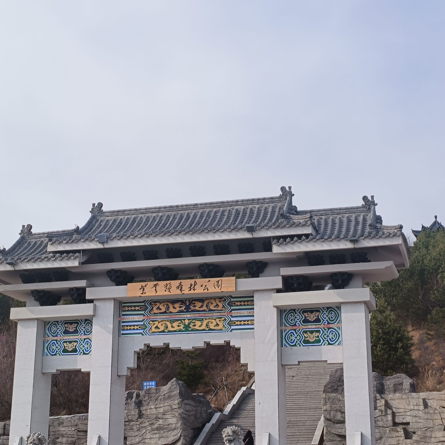 紫云岭森林公园旅行图片 1