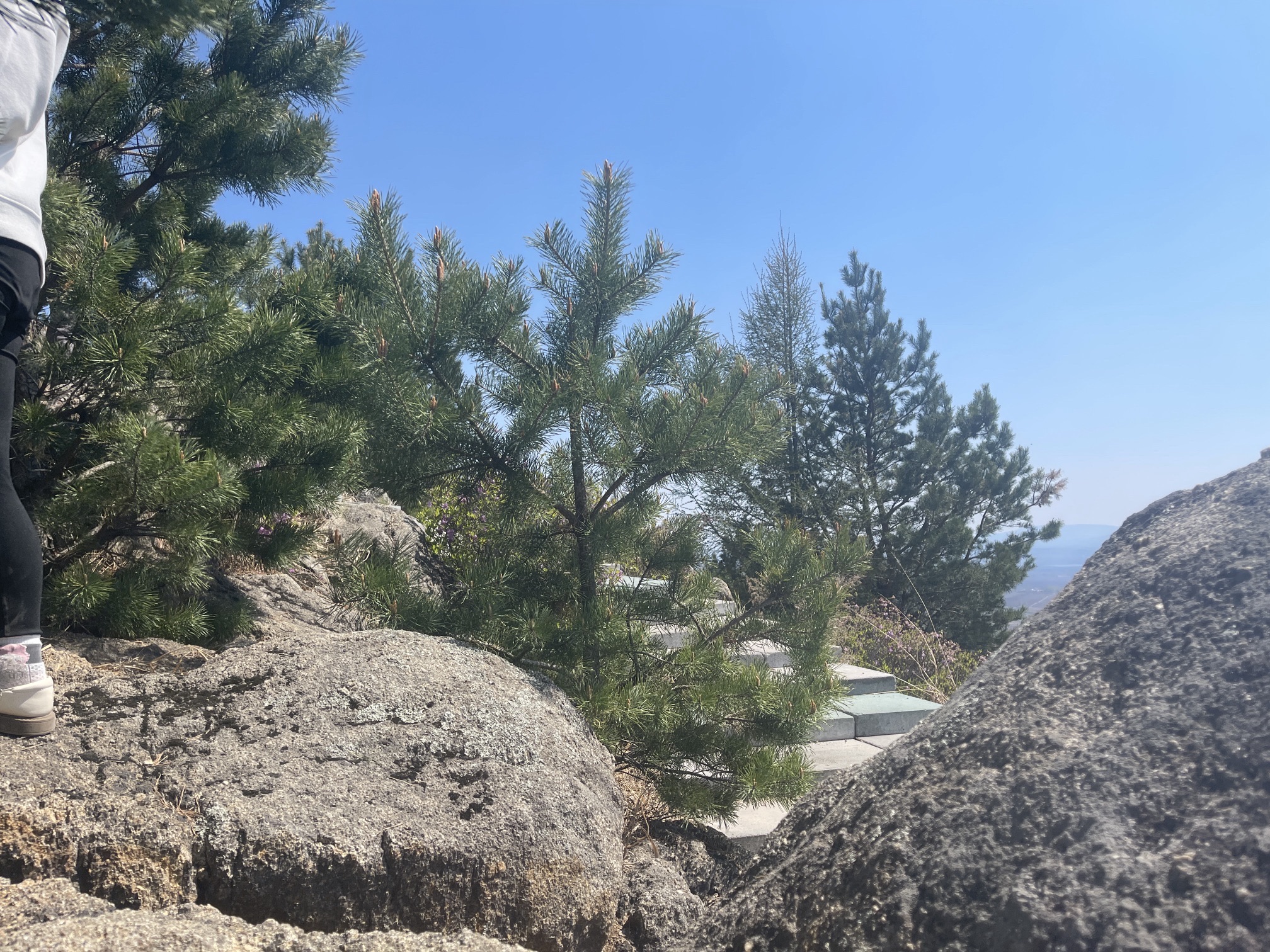 紫云岭森林公园旅行图片 1