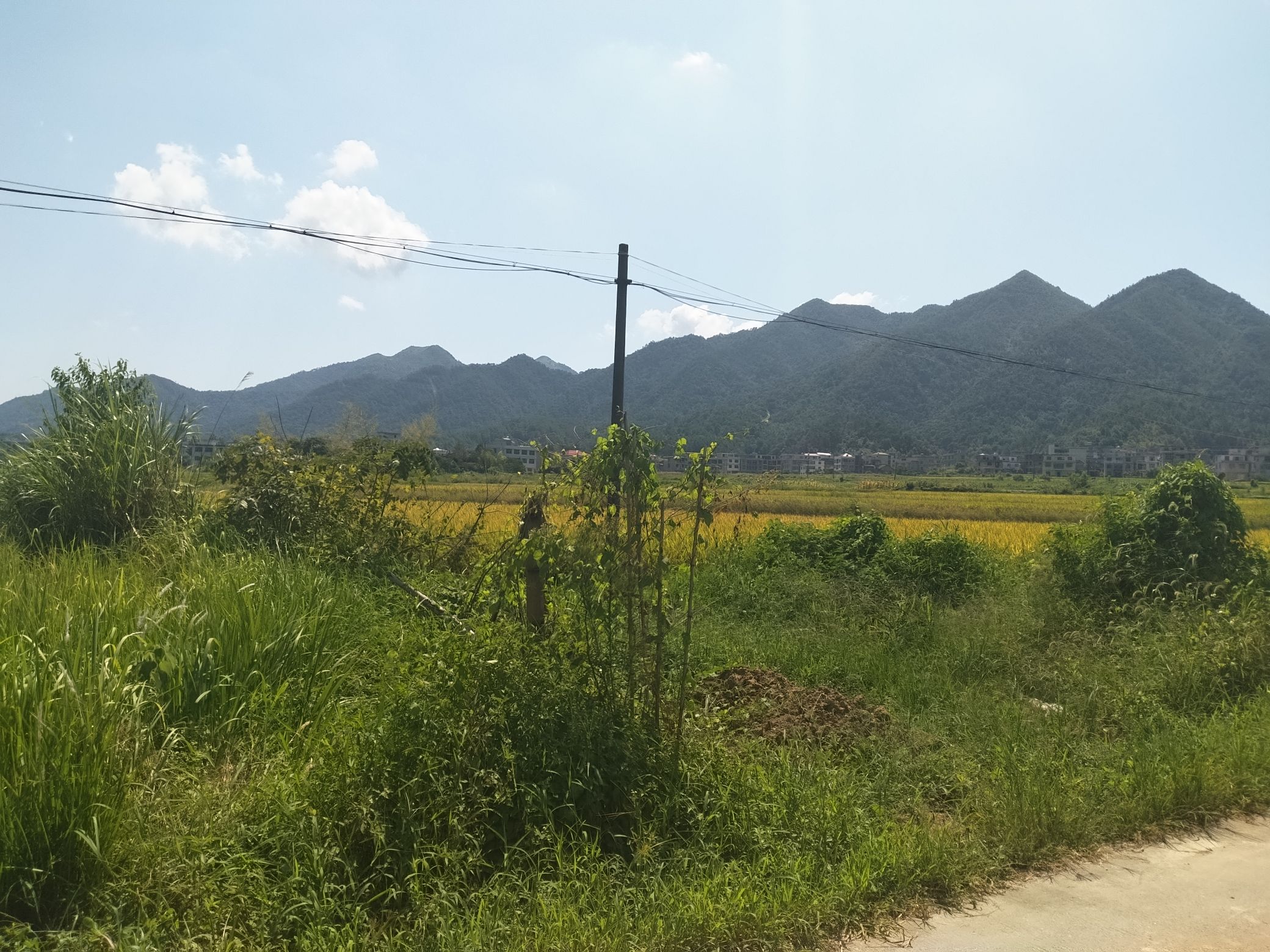 水东江镇百步梯旅行图片 2