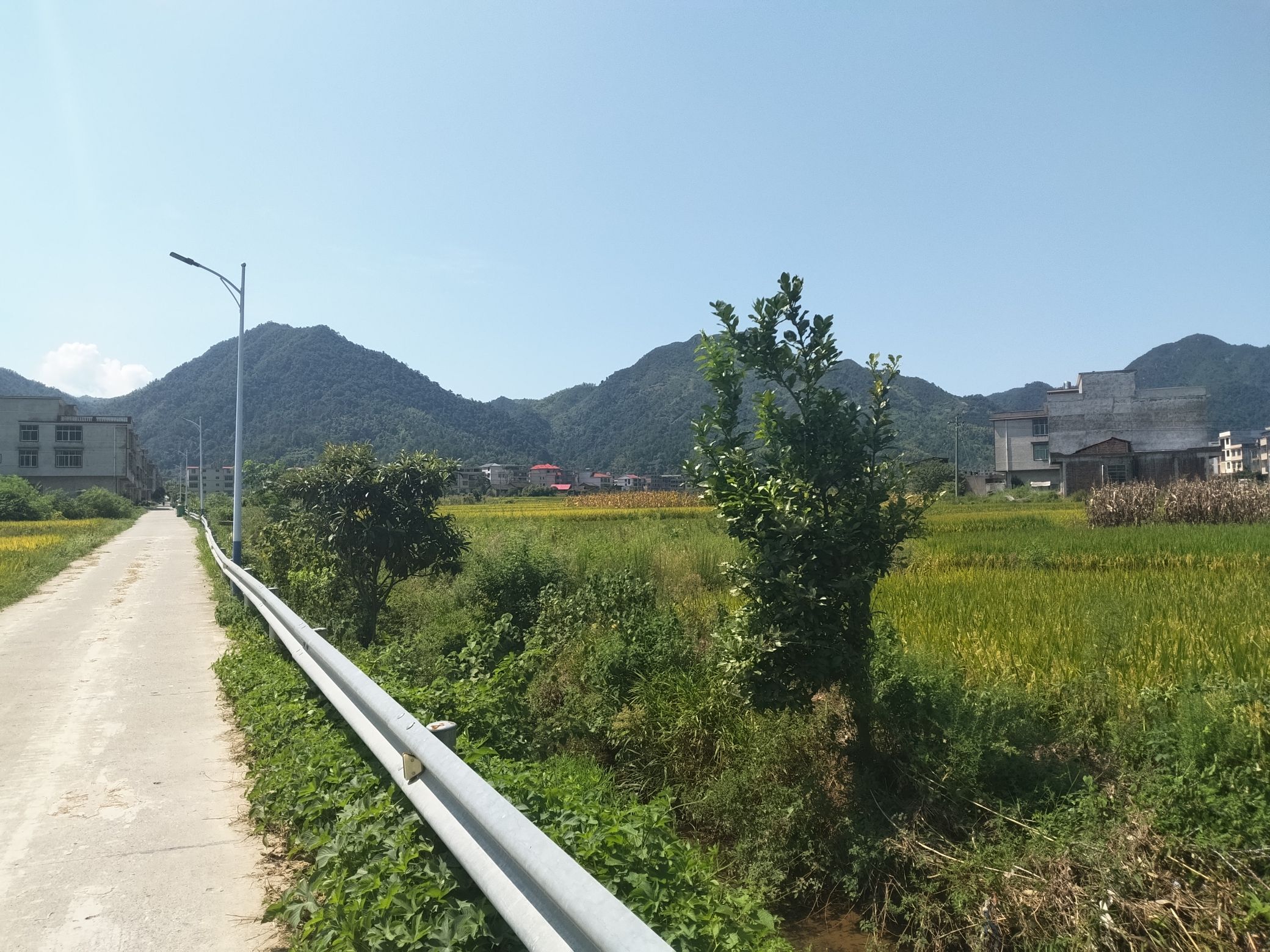 水东江镇百步梯旅行图片 1