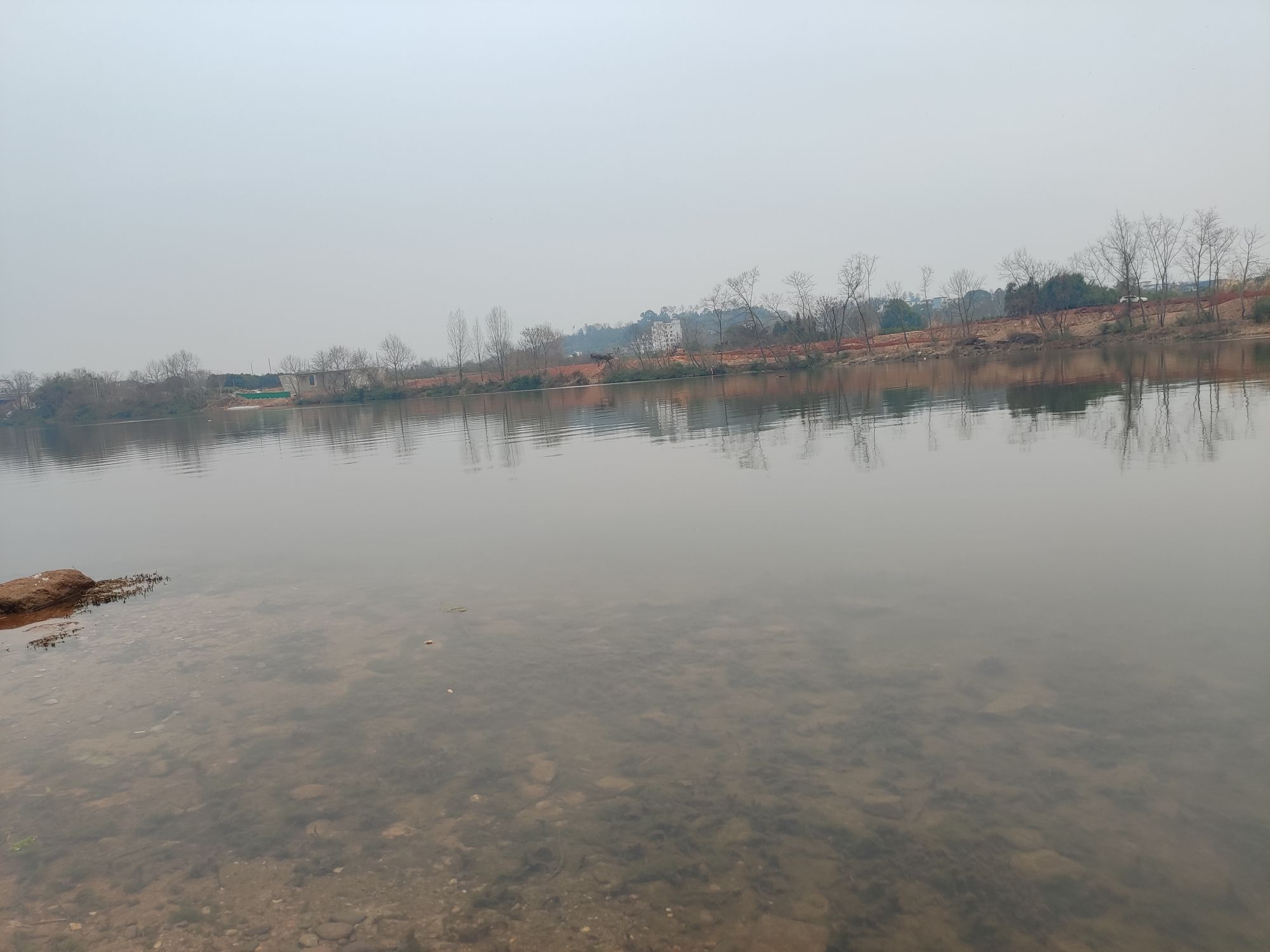 桃江湿地公园旅行图片 2