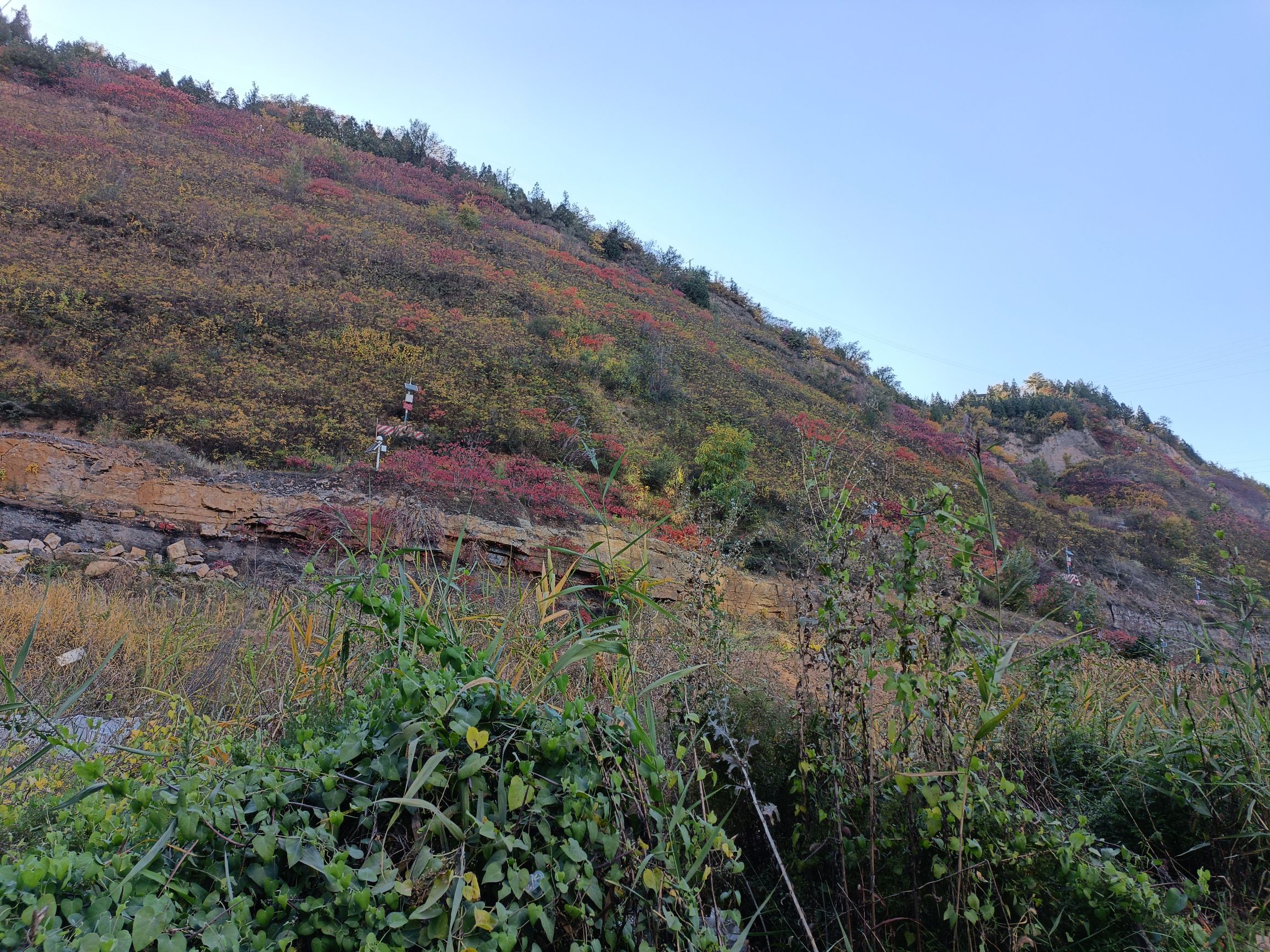 北山公园旅行图片 1
