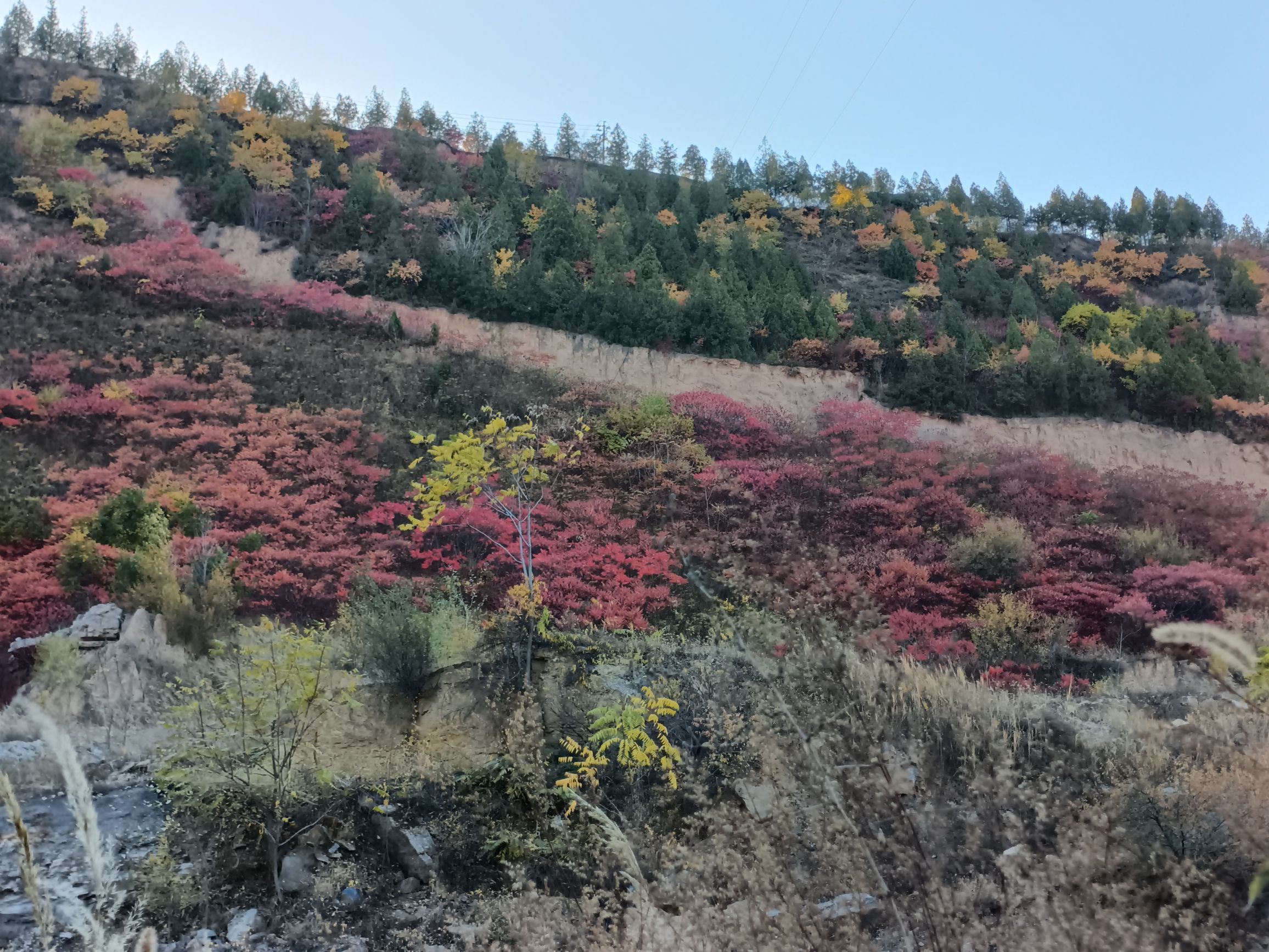 北山公园旅行图片 2
