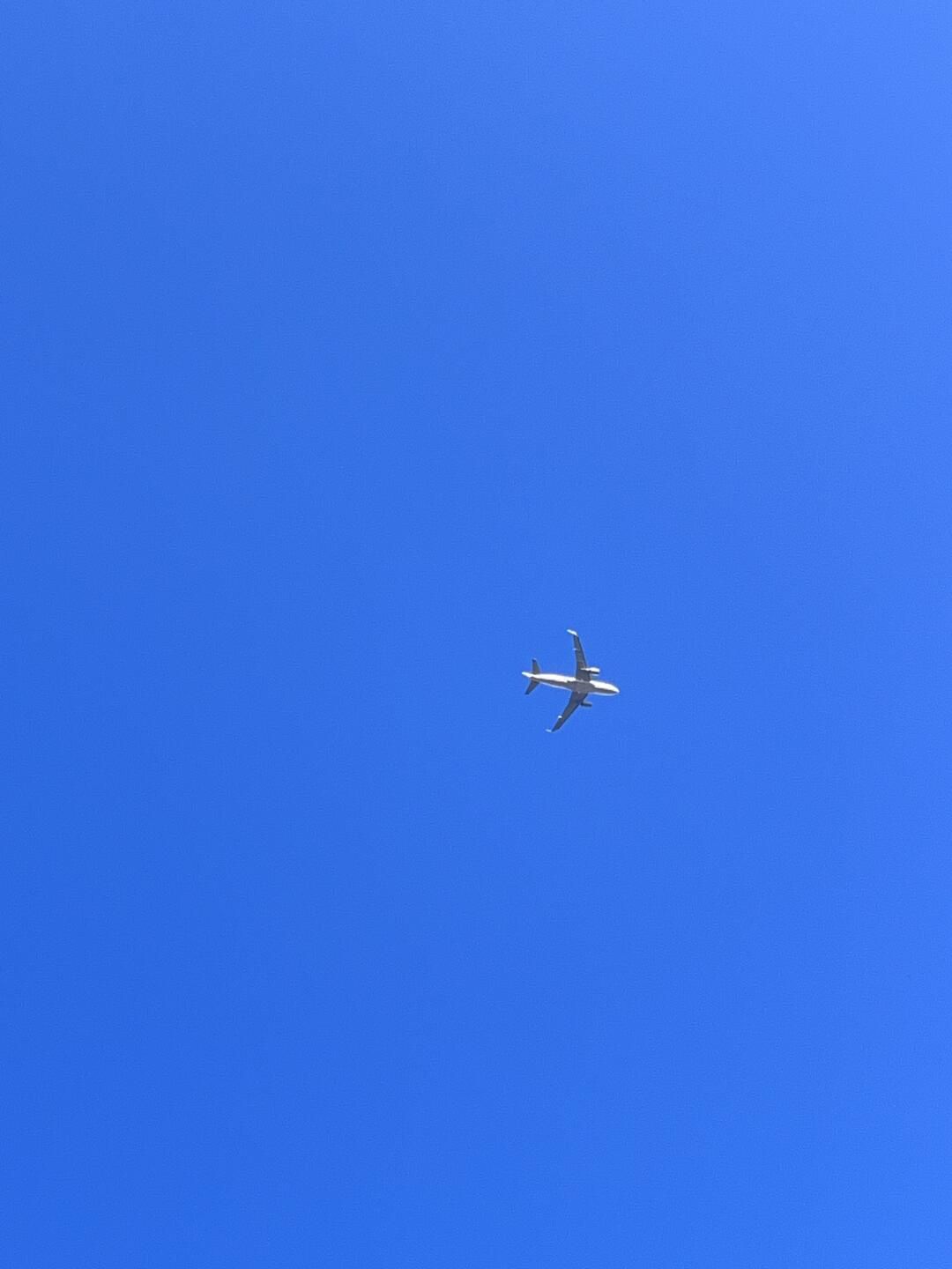 广富林郊野公园旅行图片 3