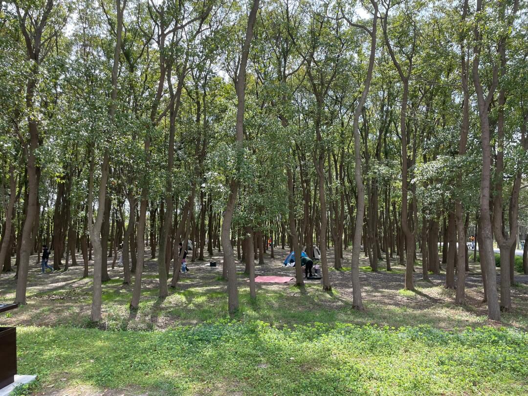 广富林郊野公园旅行图片 1
