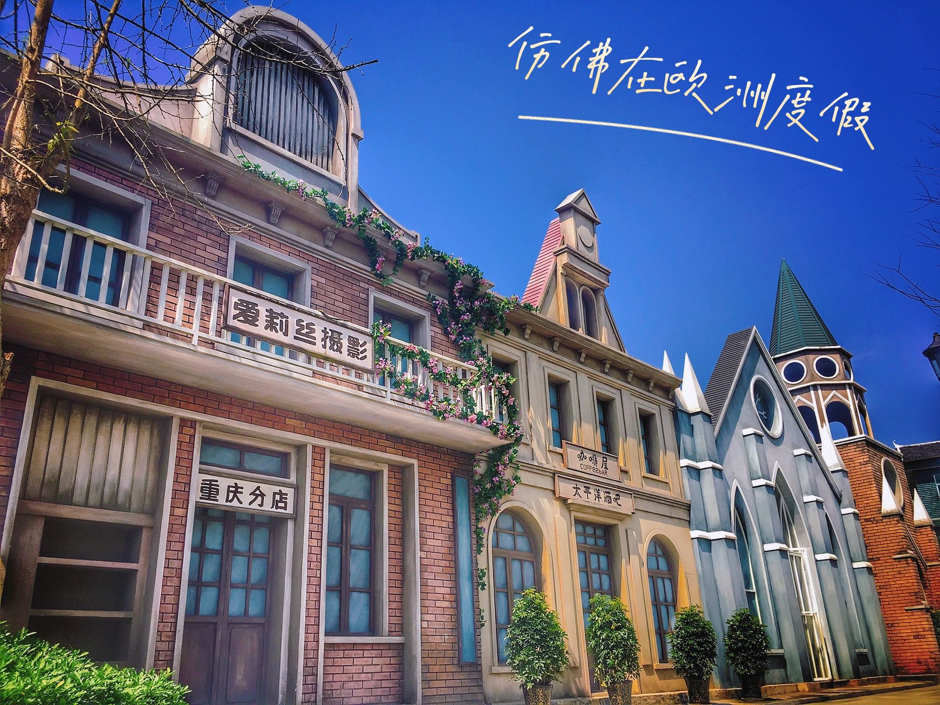爱莉丝庄园旅行图片 2