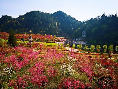 正安桃花源记景区旅行图片 3