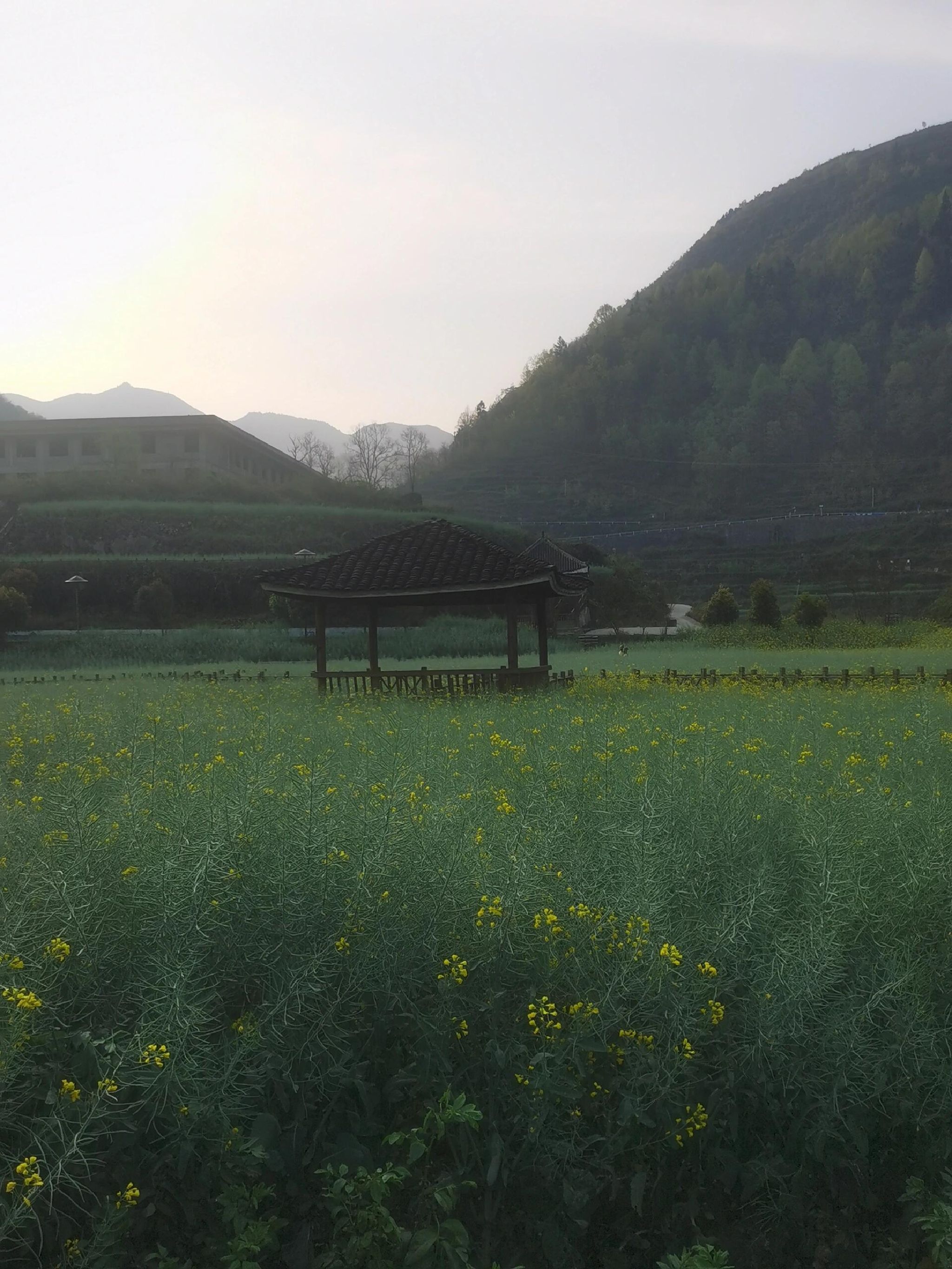 正安桃花源记景区旅行图片 1