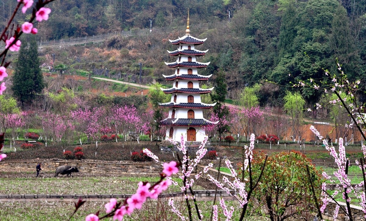 正安桃花源记景区旅行图片 1