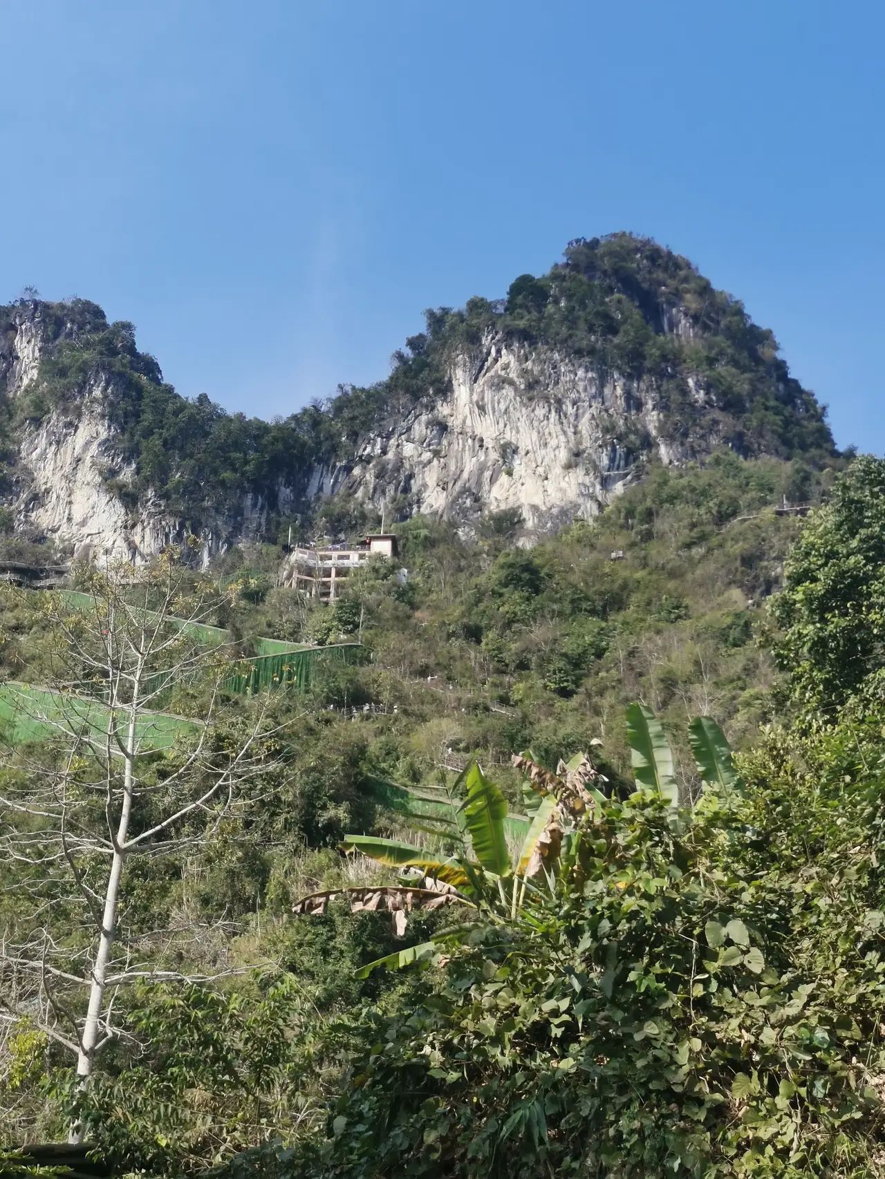 德天·老木棉景区旅行图片 3