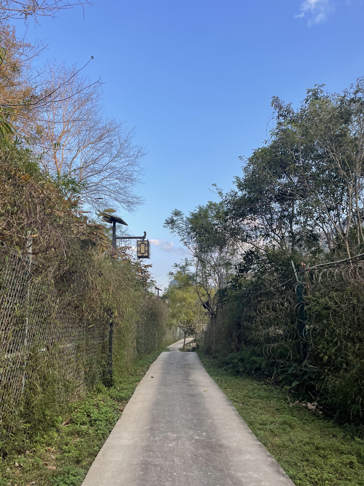 德天·老木棉景区旅行图片 2