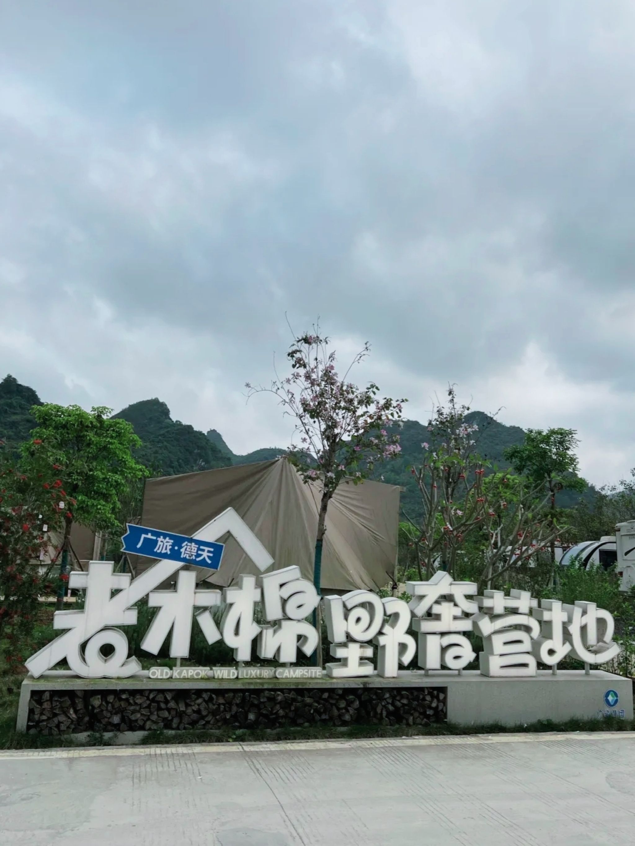 德天·老木棉景区旅行图片 1
