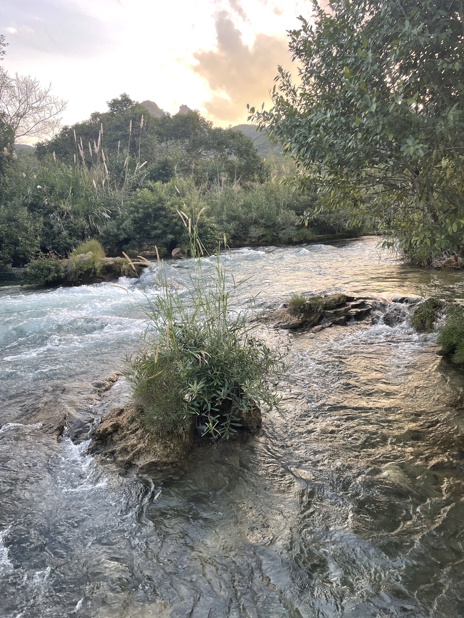德天·老木棉景区旅行图片 1