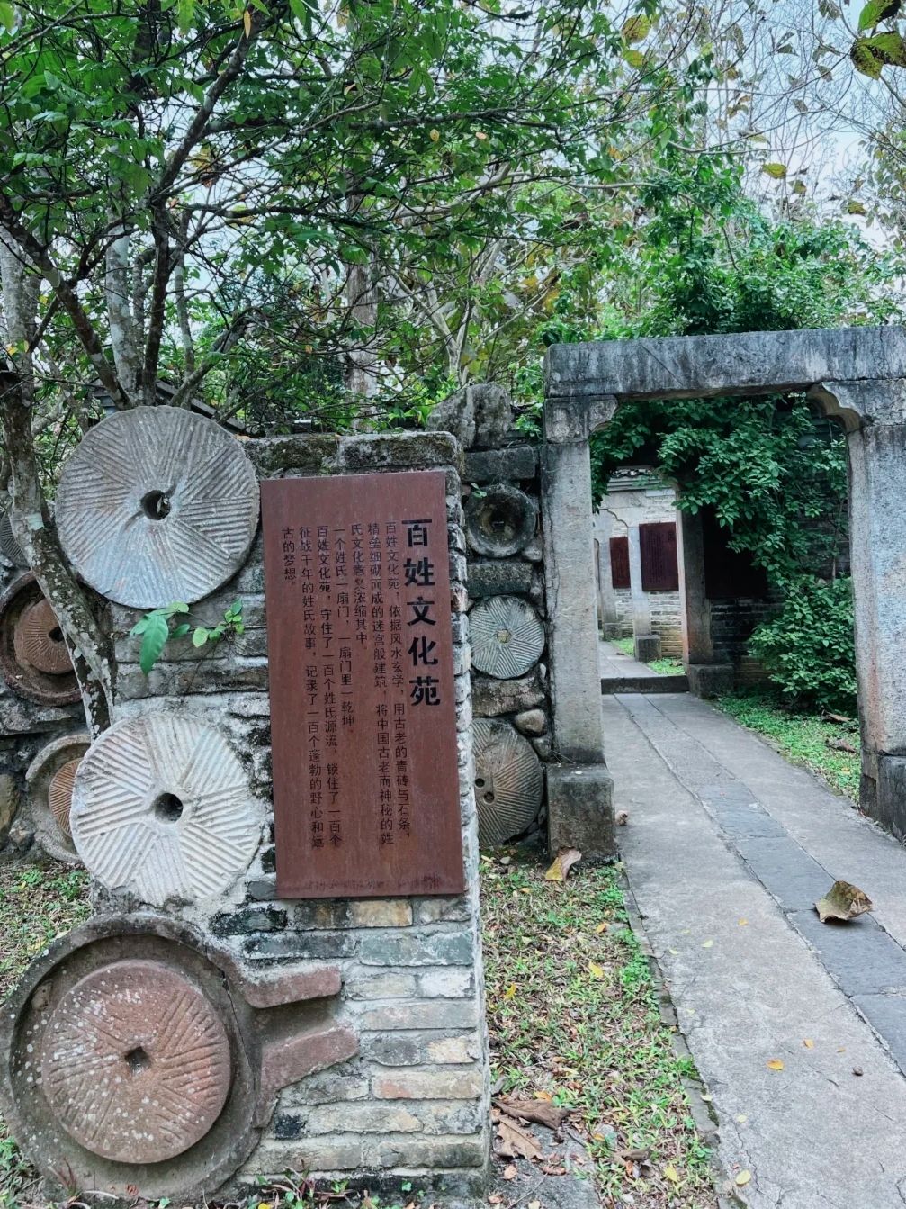 德天·老木棉景区旅行图片 3