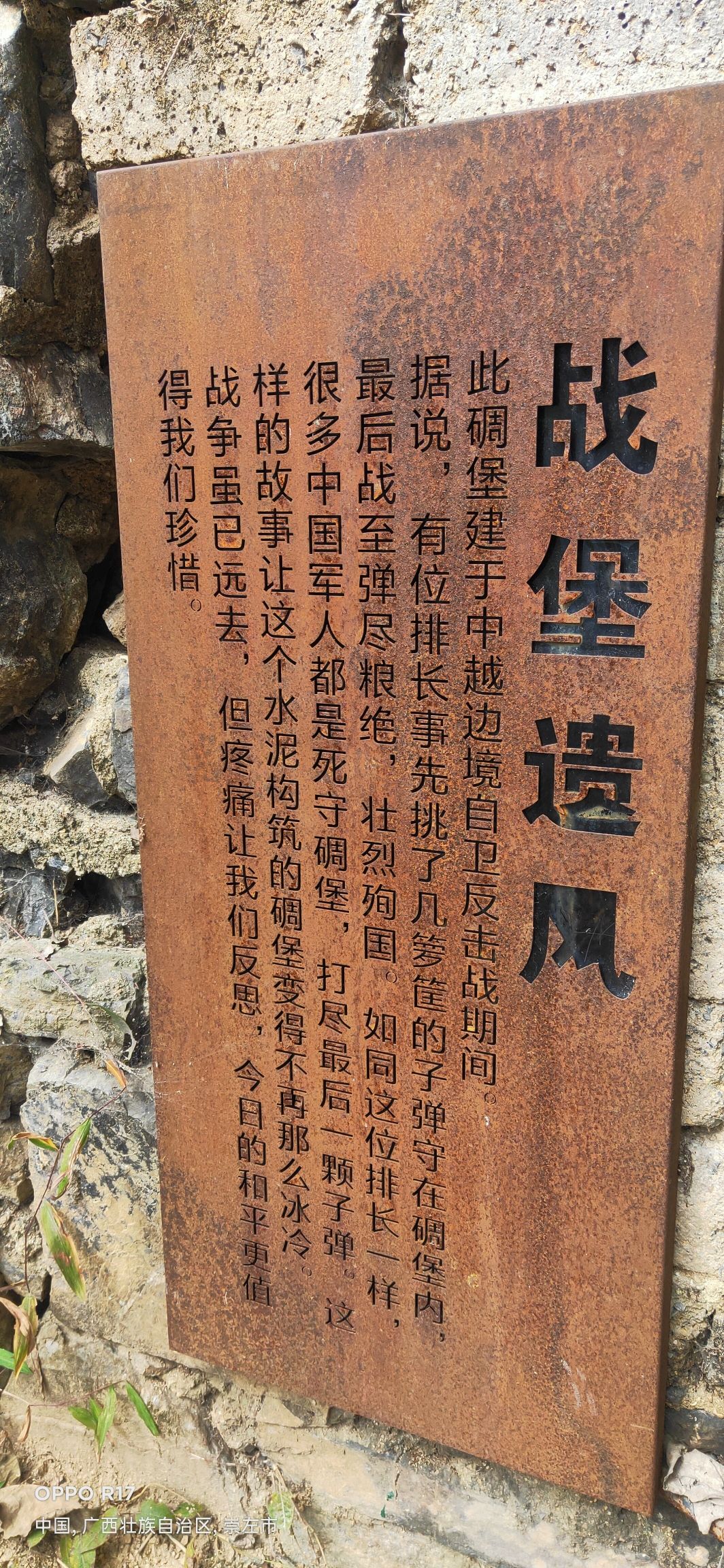德天·老木棉景区旅行图片 2