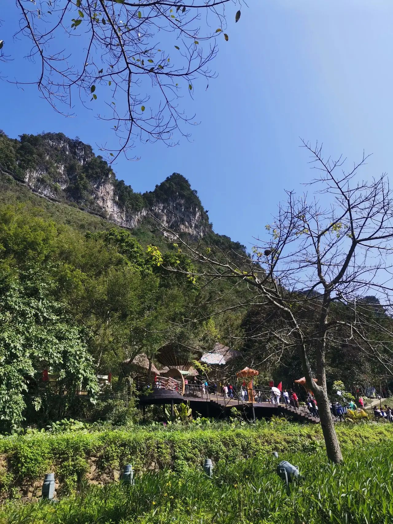 德天·老木棉景区旅行图片 2