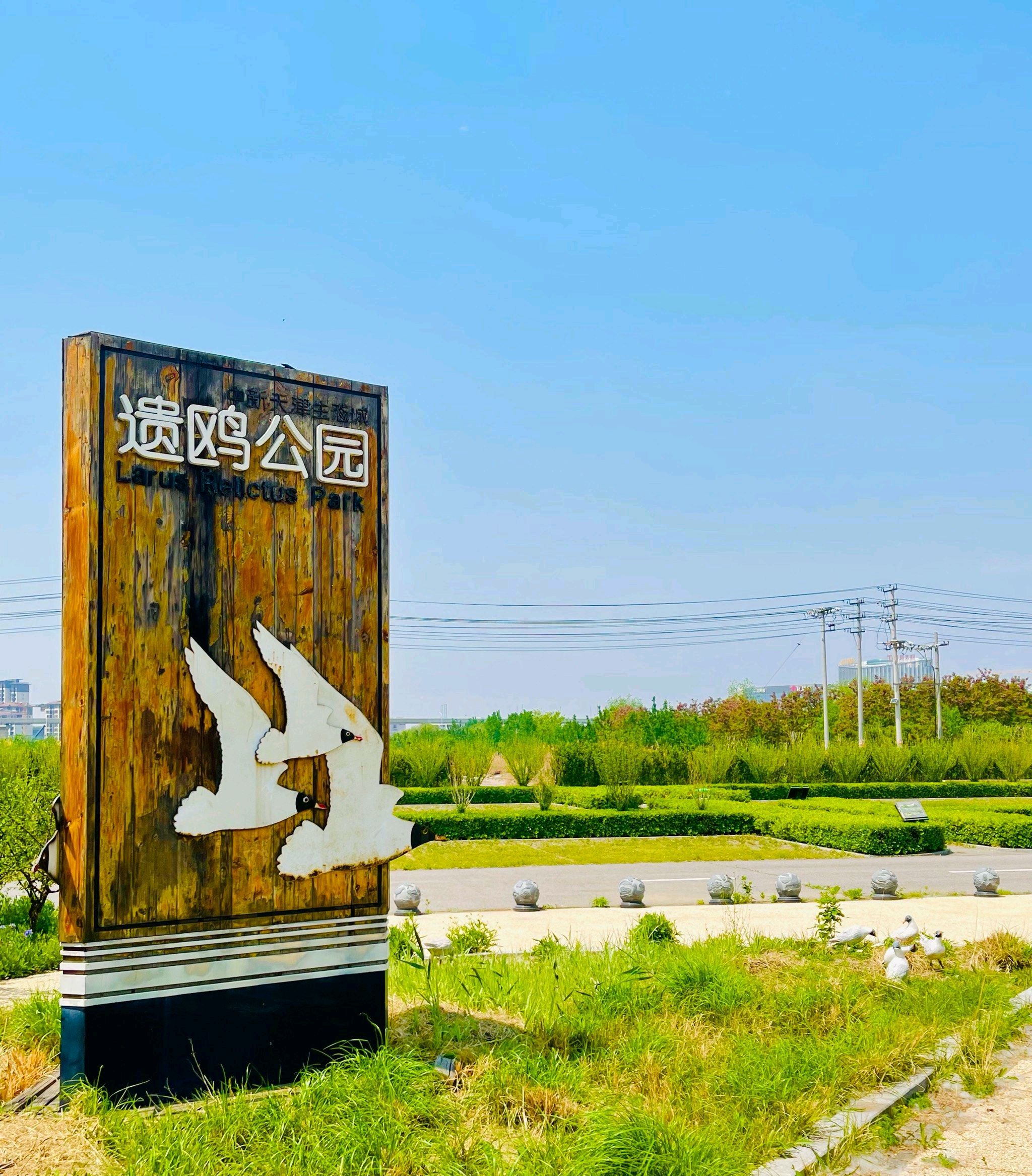 遗鸥公园