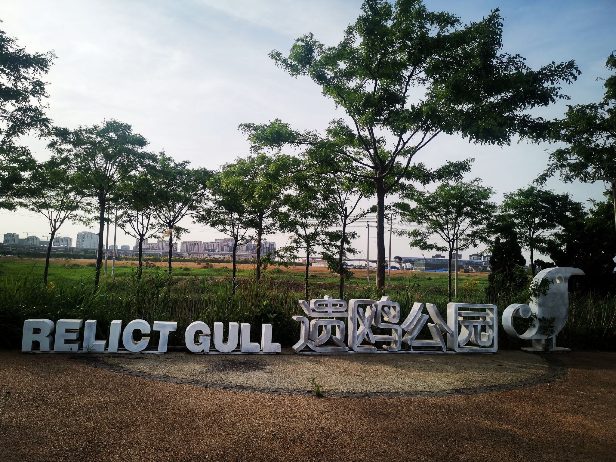 遗鸥公园旅行图片