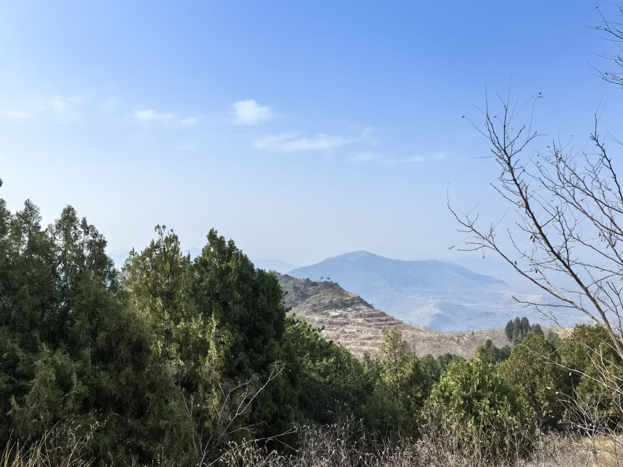 桃花山旅行图片 1