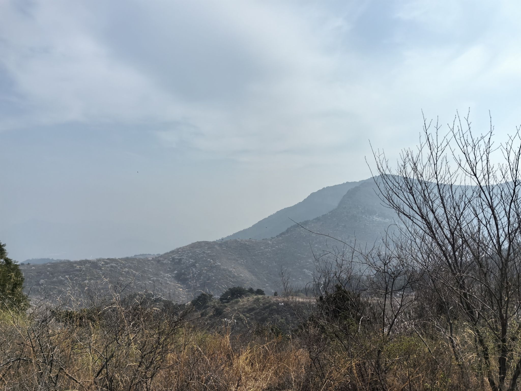 桃花山旅行图片 2