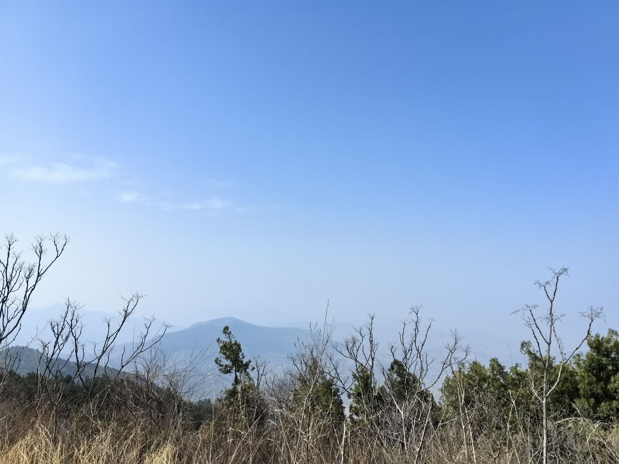 桃花山旅行图片 3