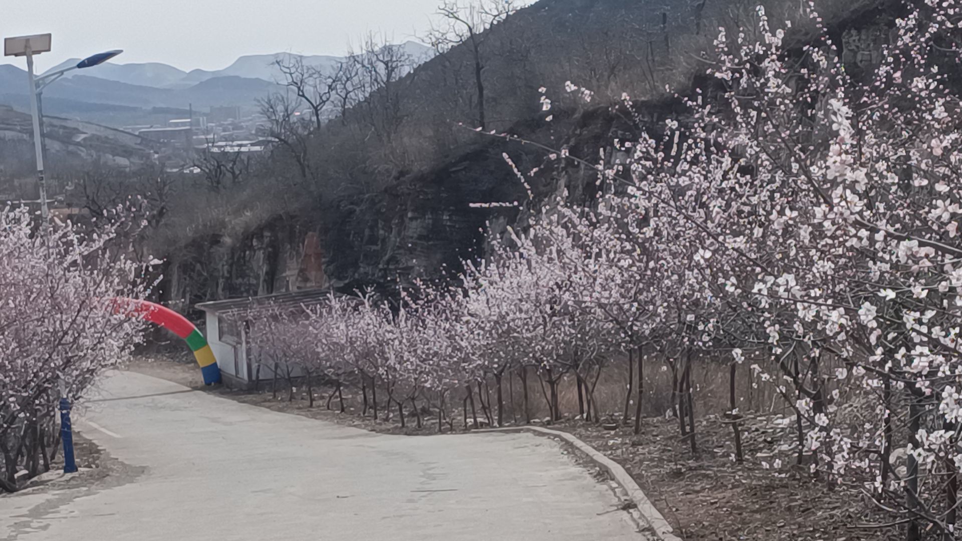 桃花山旅行图片 2