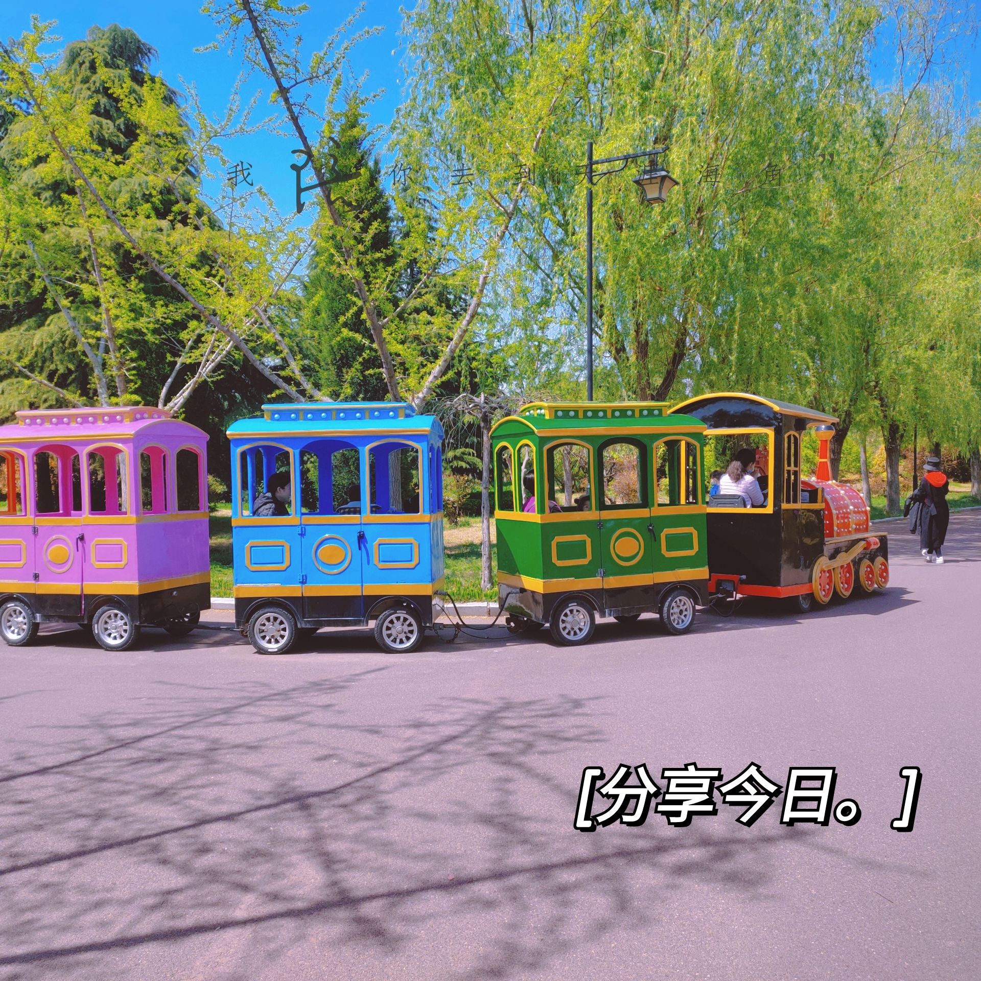 长寿山公园旅行图片 3