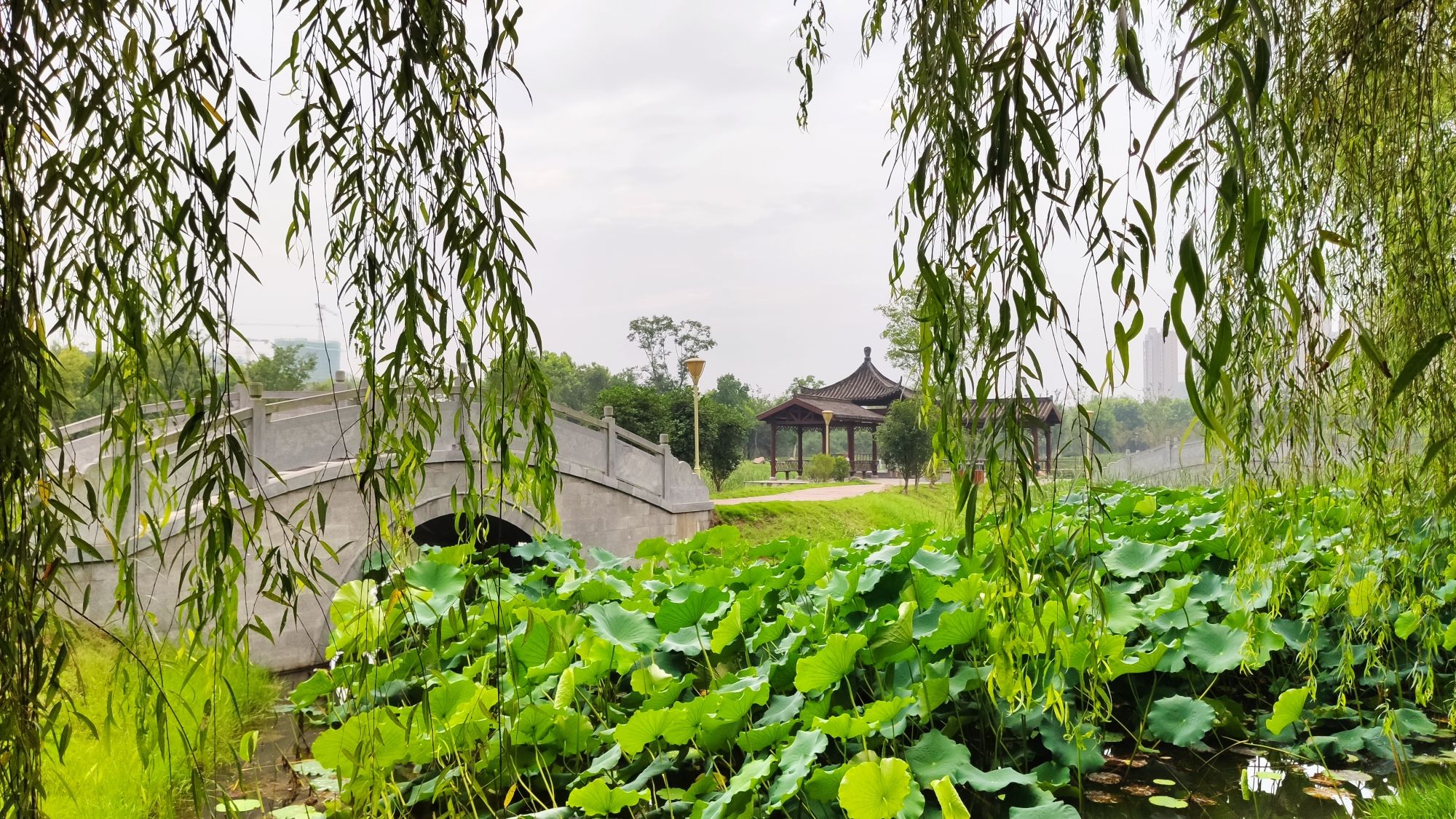 潭冲河湿地公园