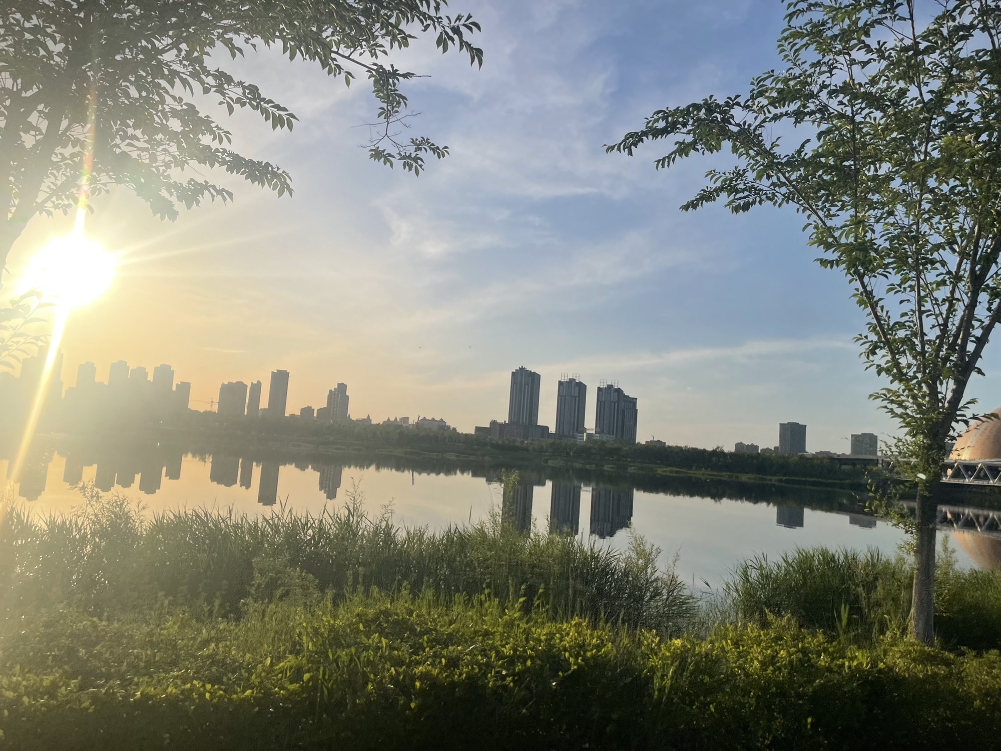 滨湖河湿地公园