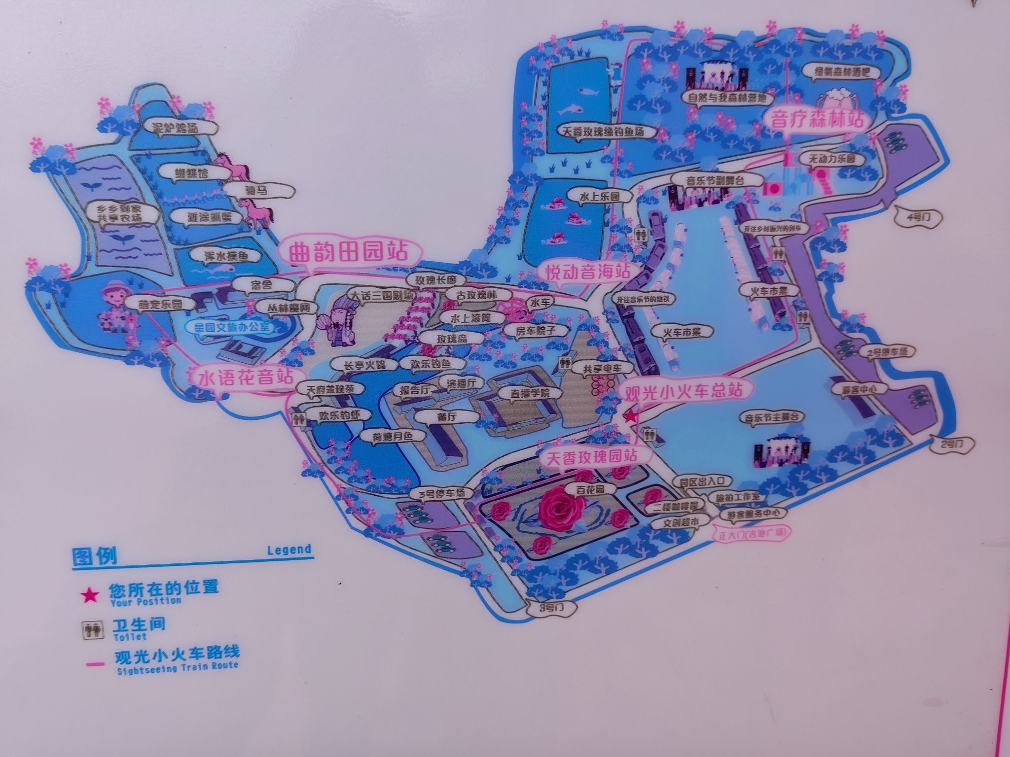 成都温江天香玫瑰缘旅行图片 2