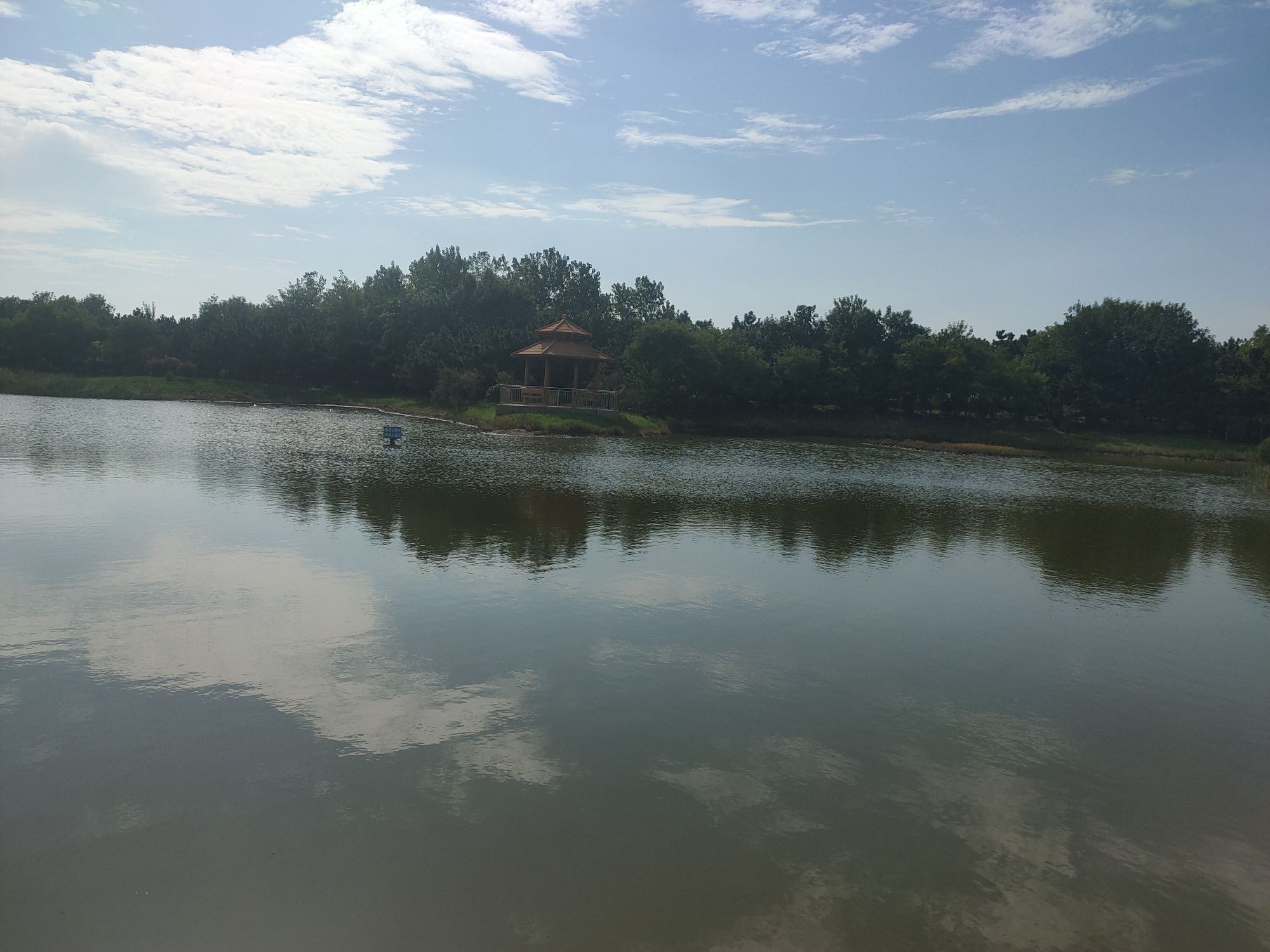 岚山湿地公园旅行图片 3