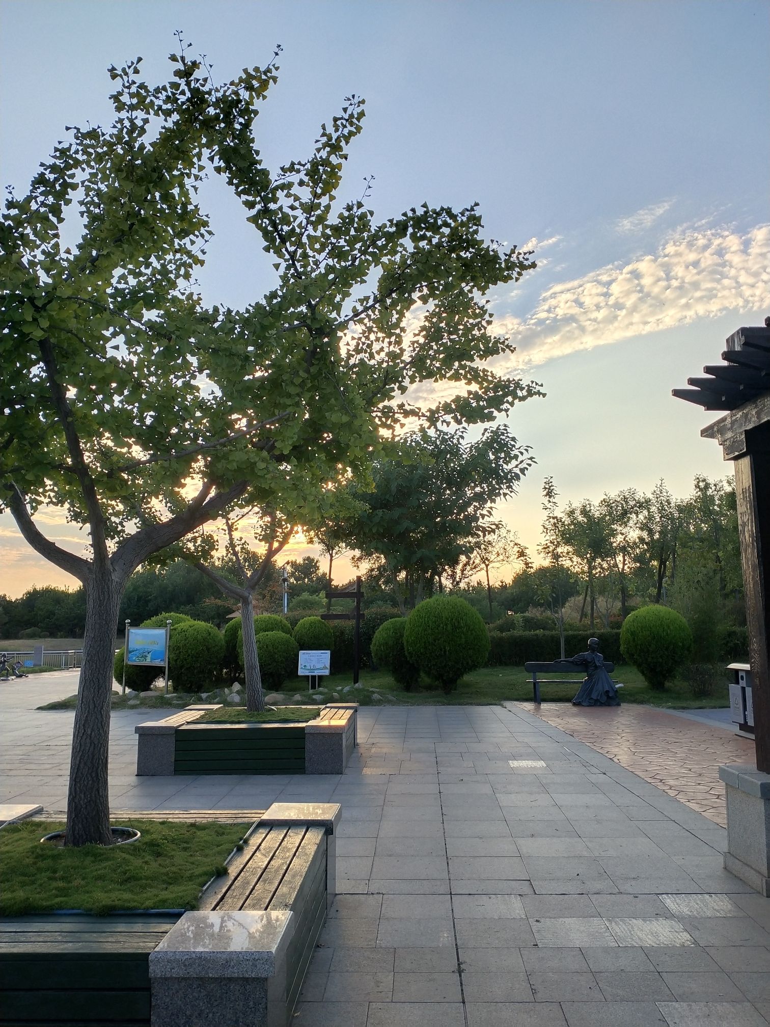 岚山湿地公园旅行图片 1