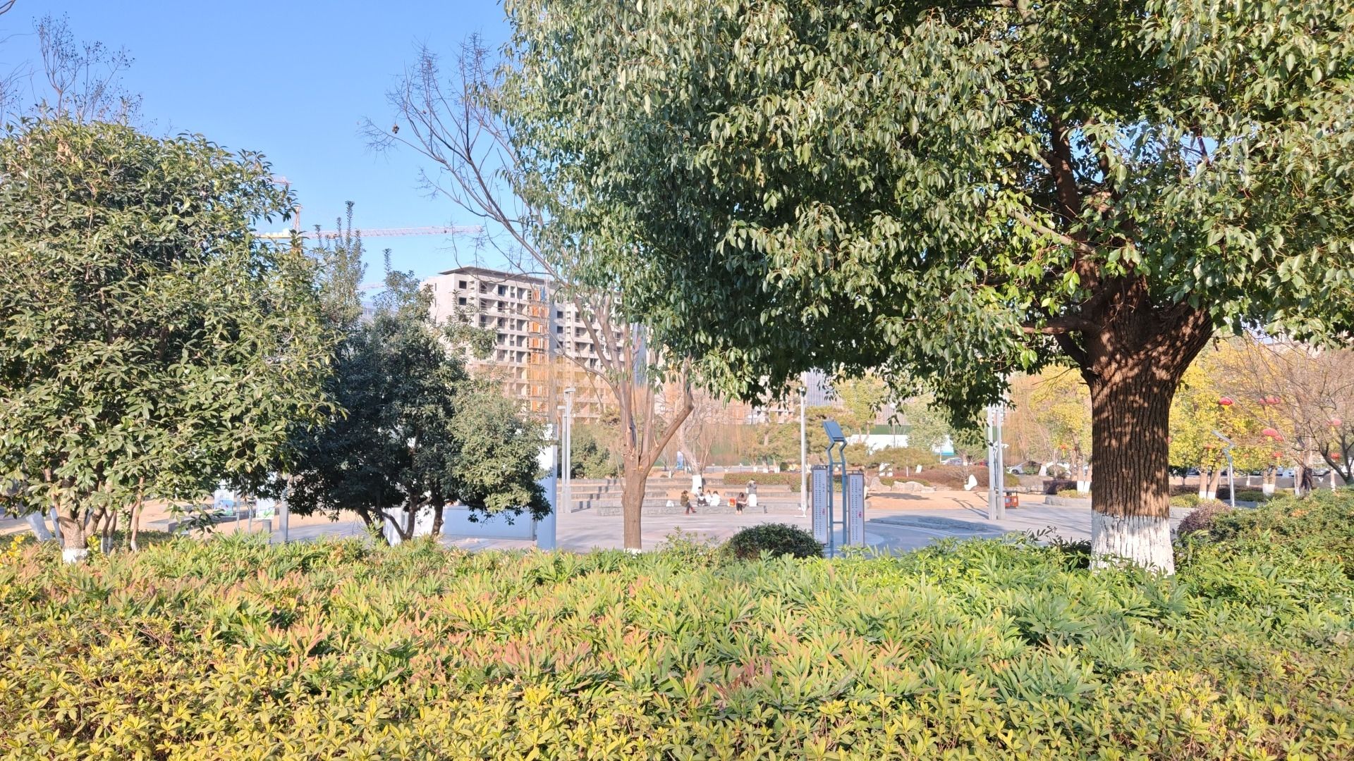 凤凰山遗址公园旅行图片 2