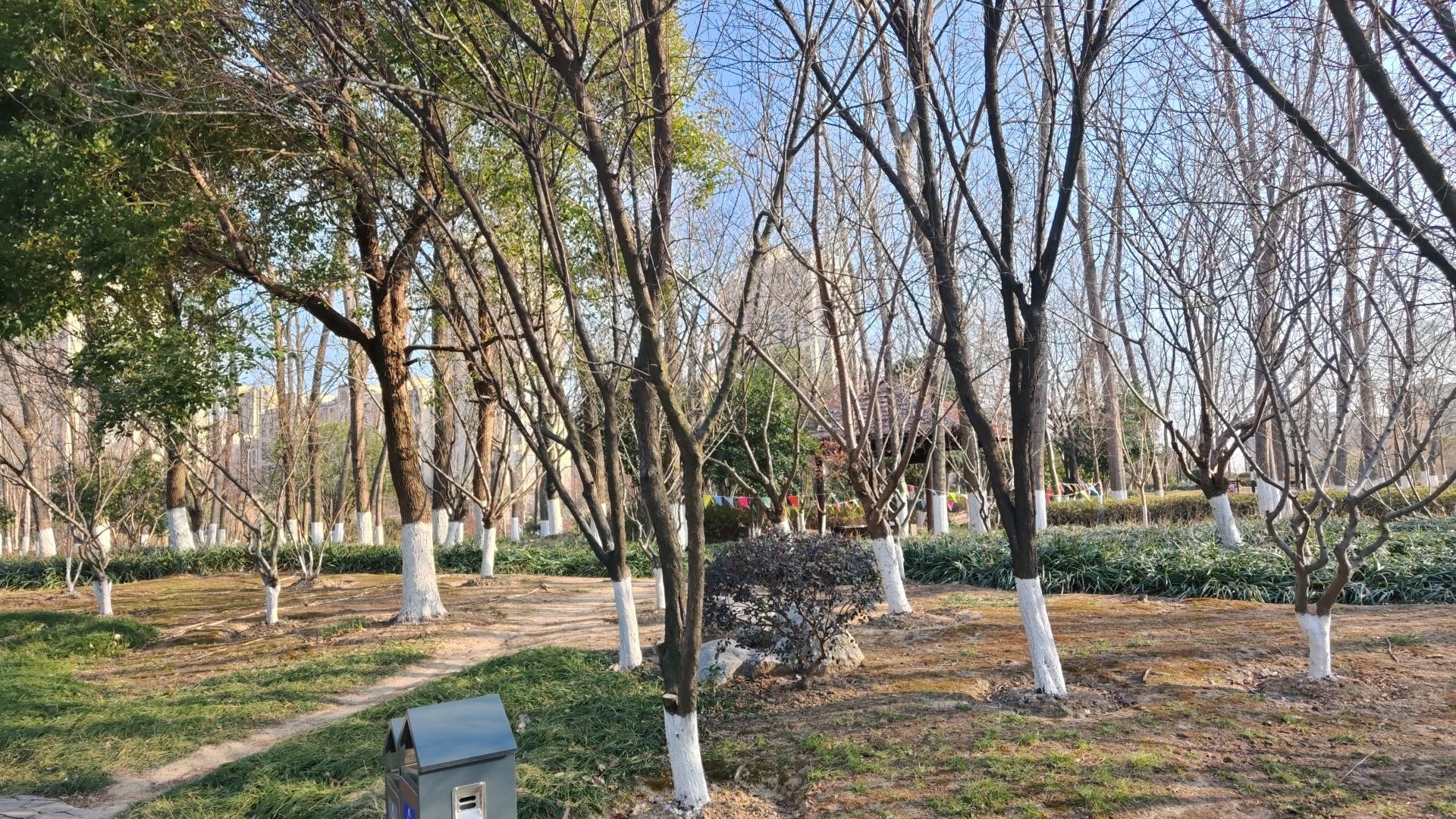 凤凰山遗址公园旅行图片 3