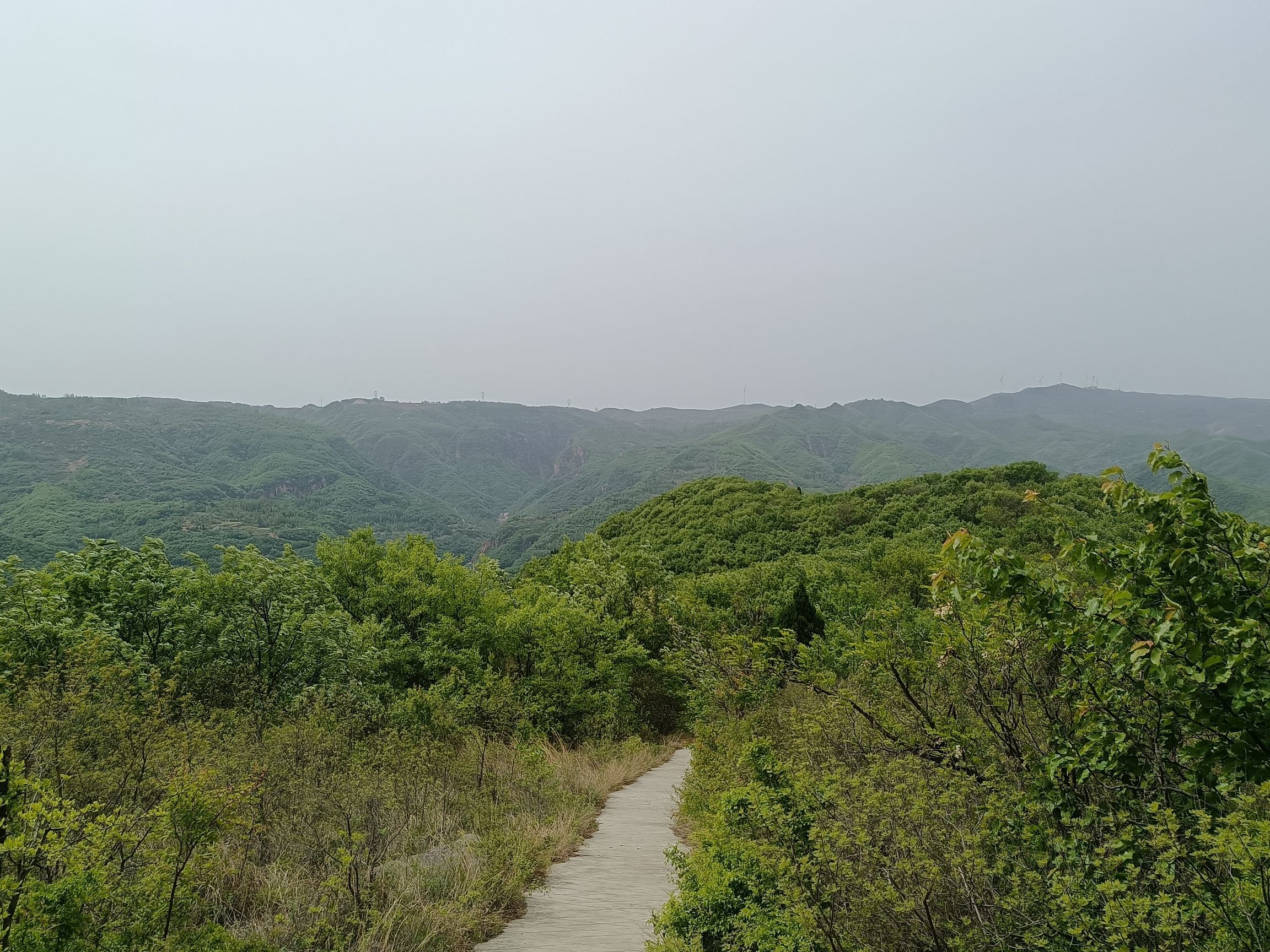 伏羲山旅行图片 1