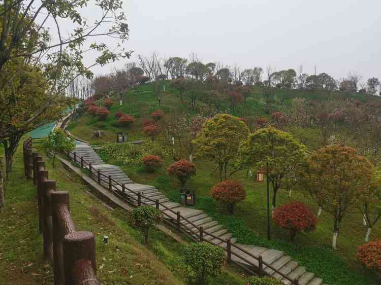 雪峰岭森林公园旅行图片 2