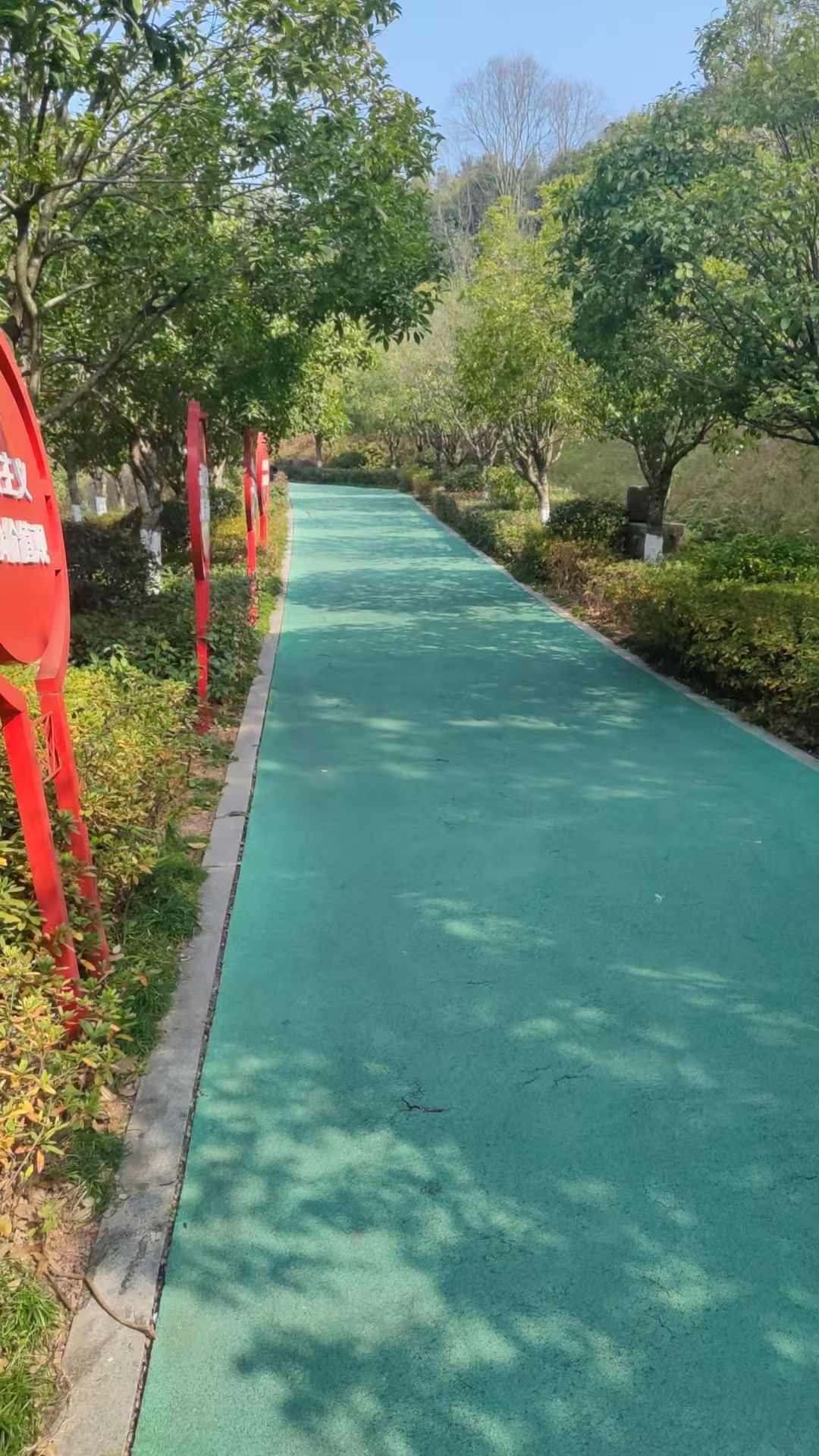 雪峰岭森林公园旅行图片 1