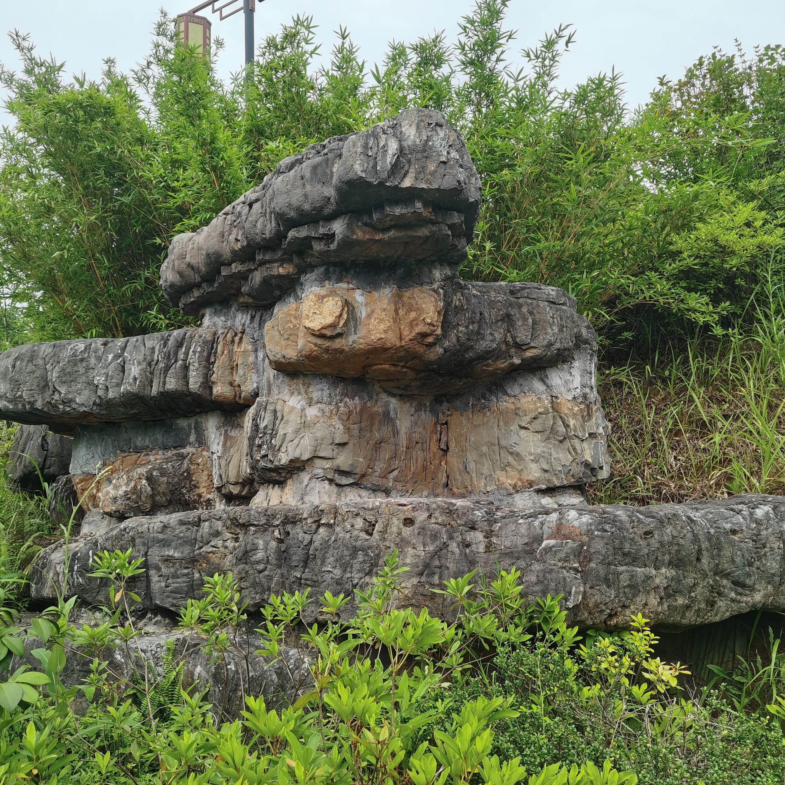 雪峰岭森林公园旅行图片 2