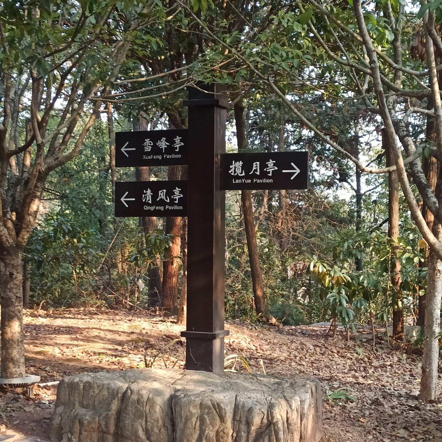 雪峰岭森林公园旅行图片 2