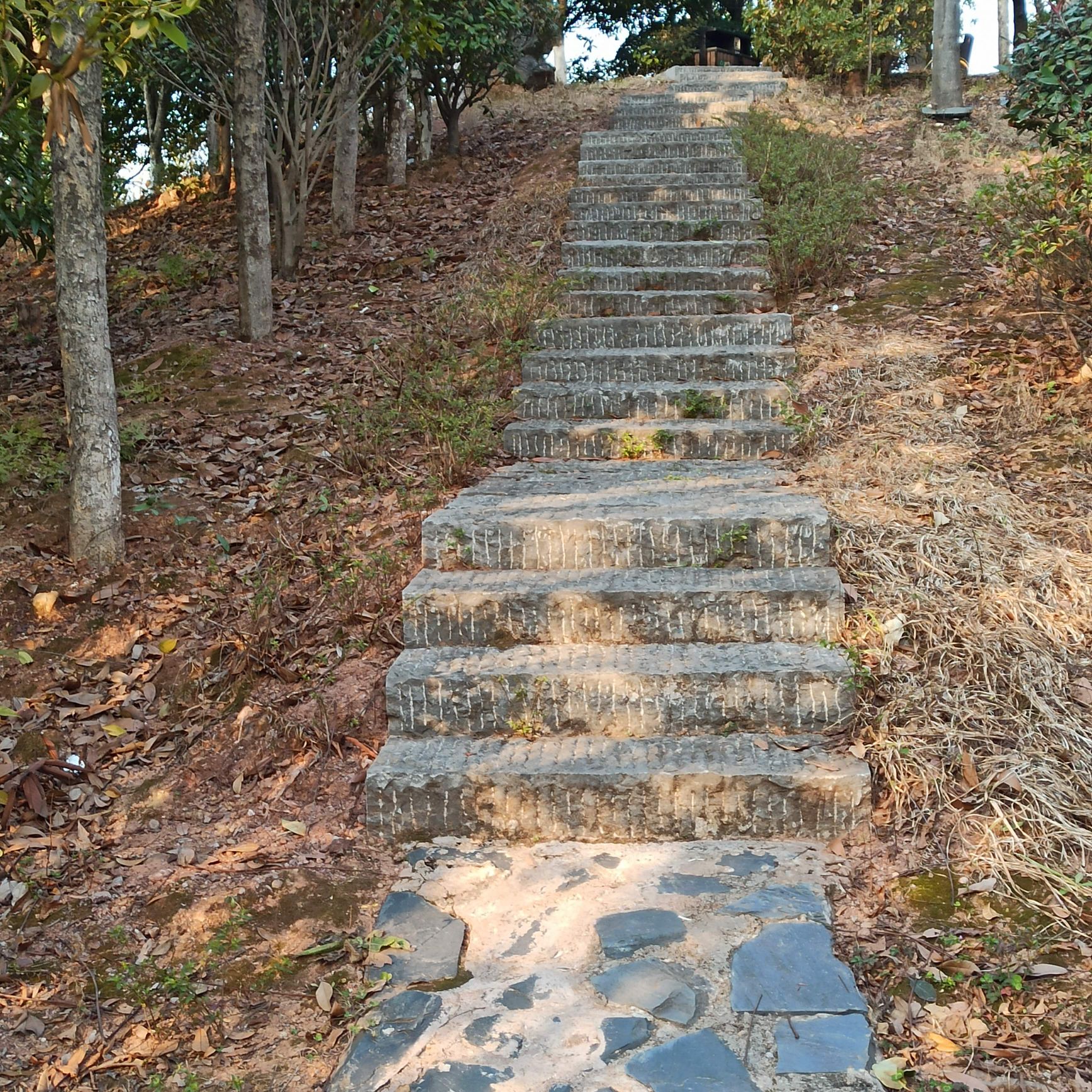 雪峰岭森林公园旅行图片 3