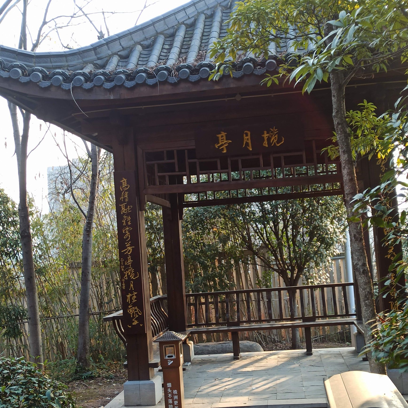 雪峰岭森林公园旅行图片 1