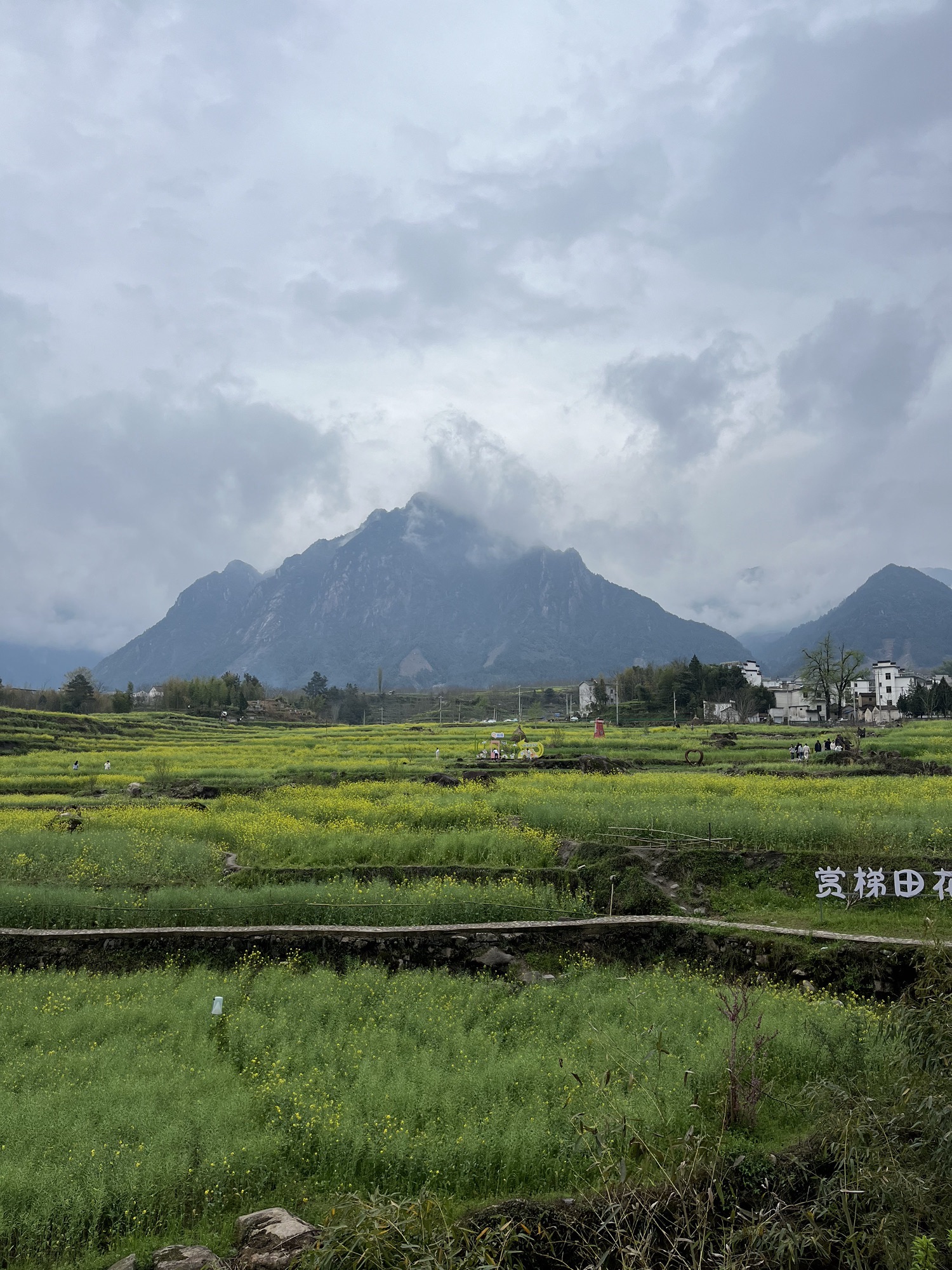 梅干岭观景台旅行图片 1