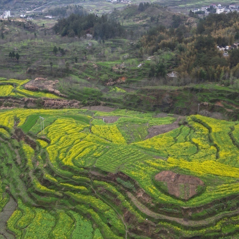 梅干岭观景台旅行图片 3