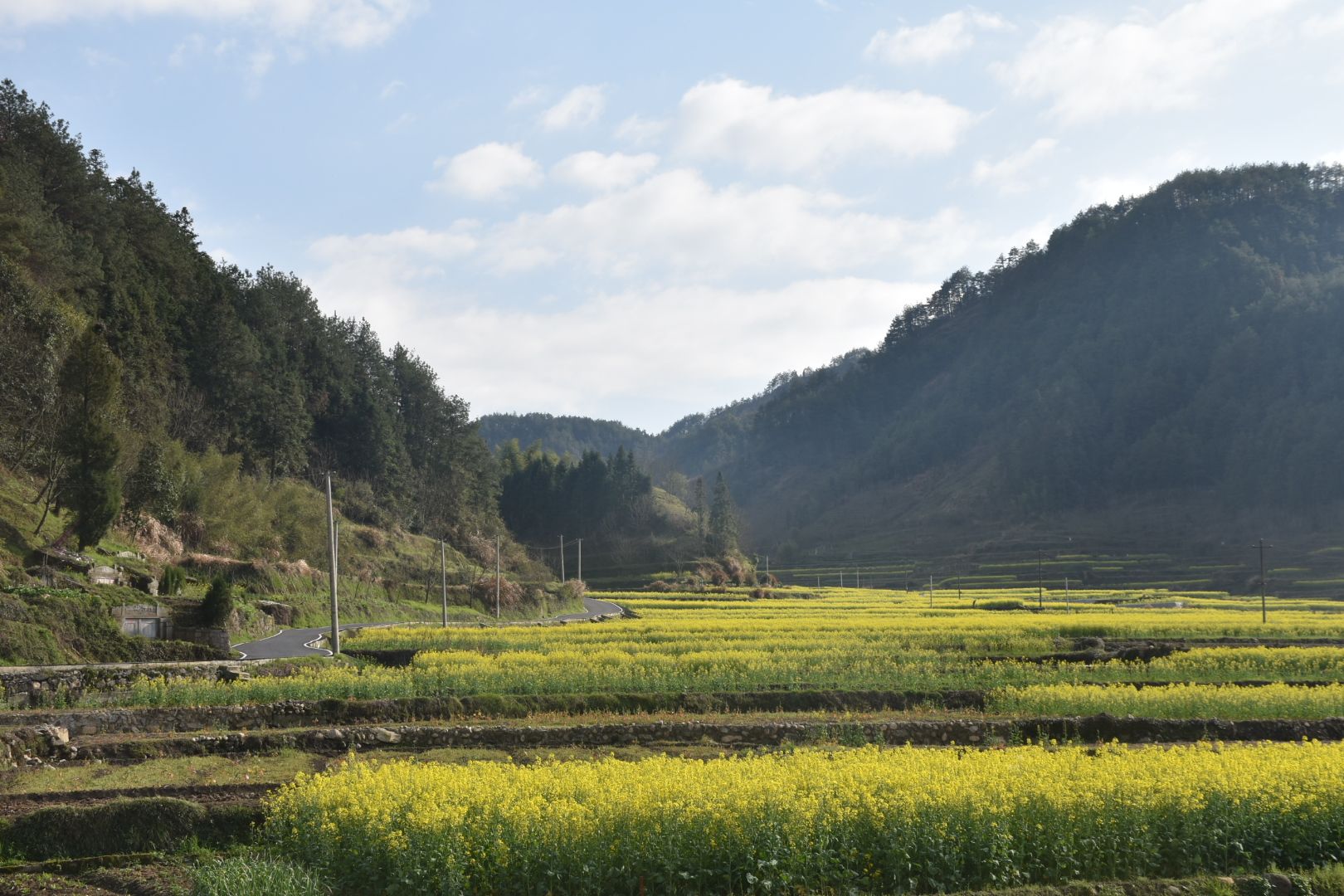梅干岭观景台旅行图片 2