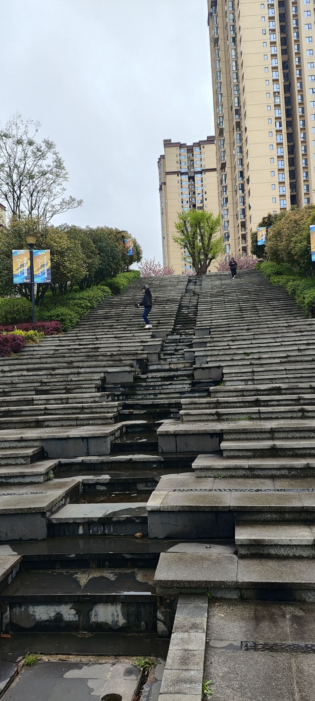 CCP城市公园旅行图片 1