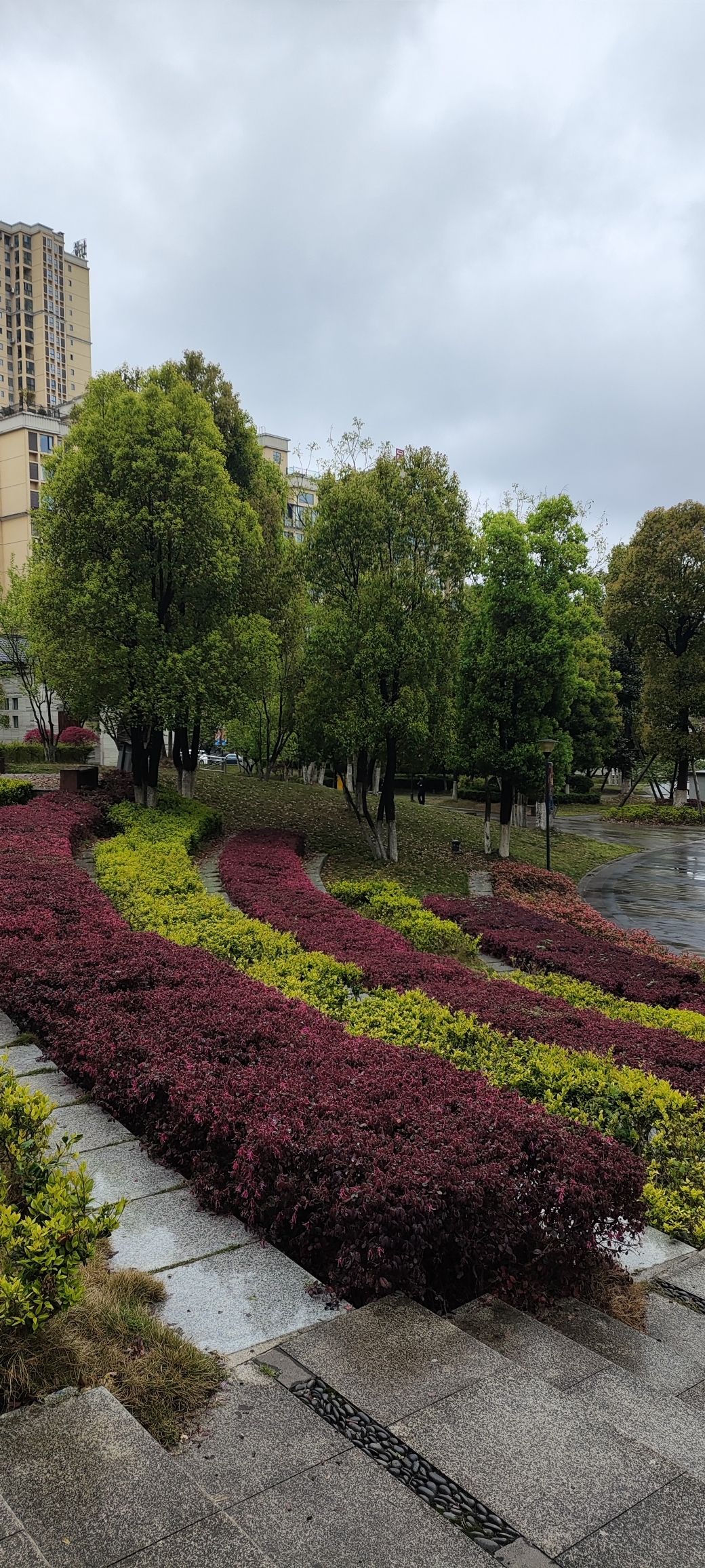 CCP城市公园旅行图片 3