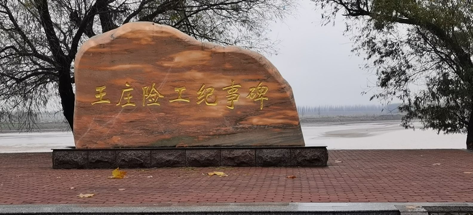 王庄险工旅行图片 2
