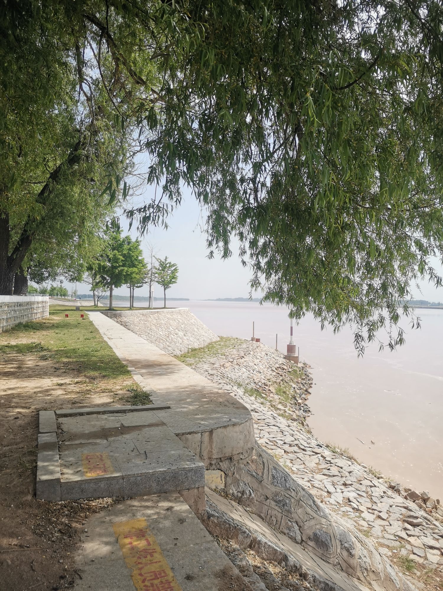 王庄险工旅行图片 1