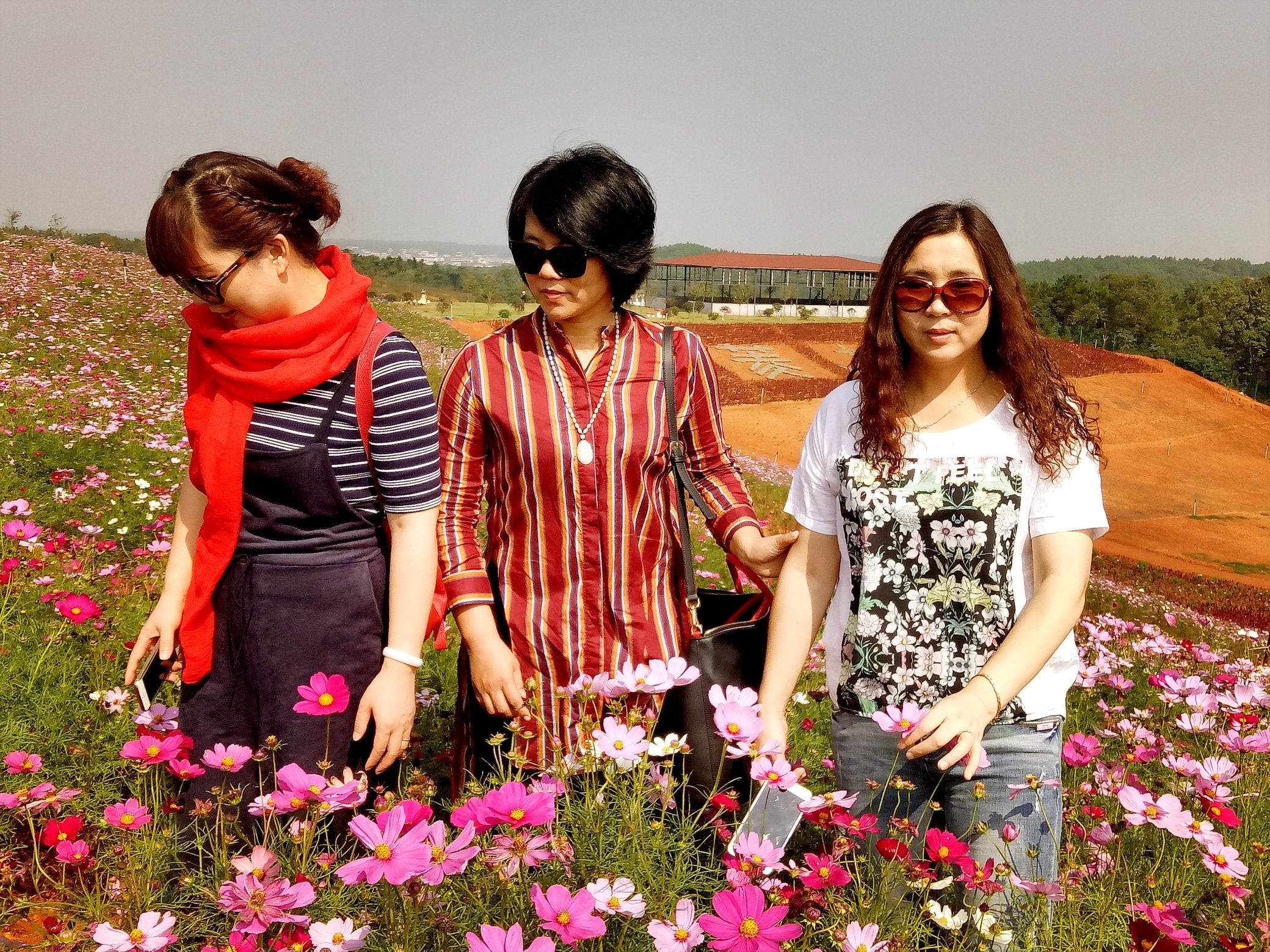西长四季花海旅行图片 2